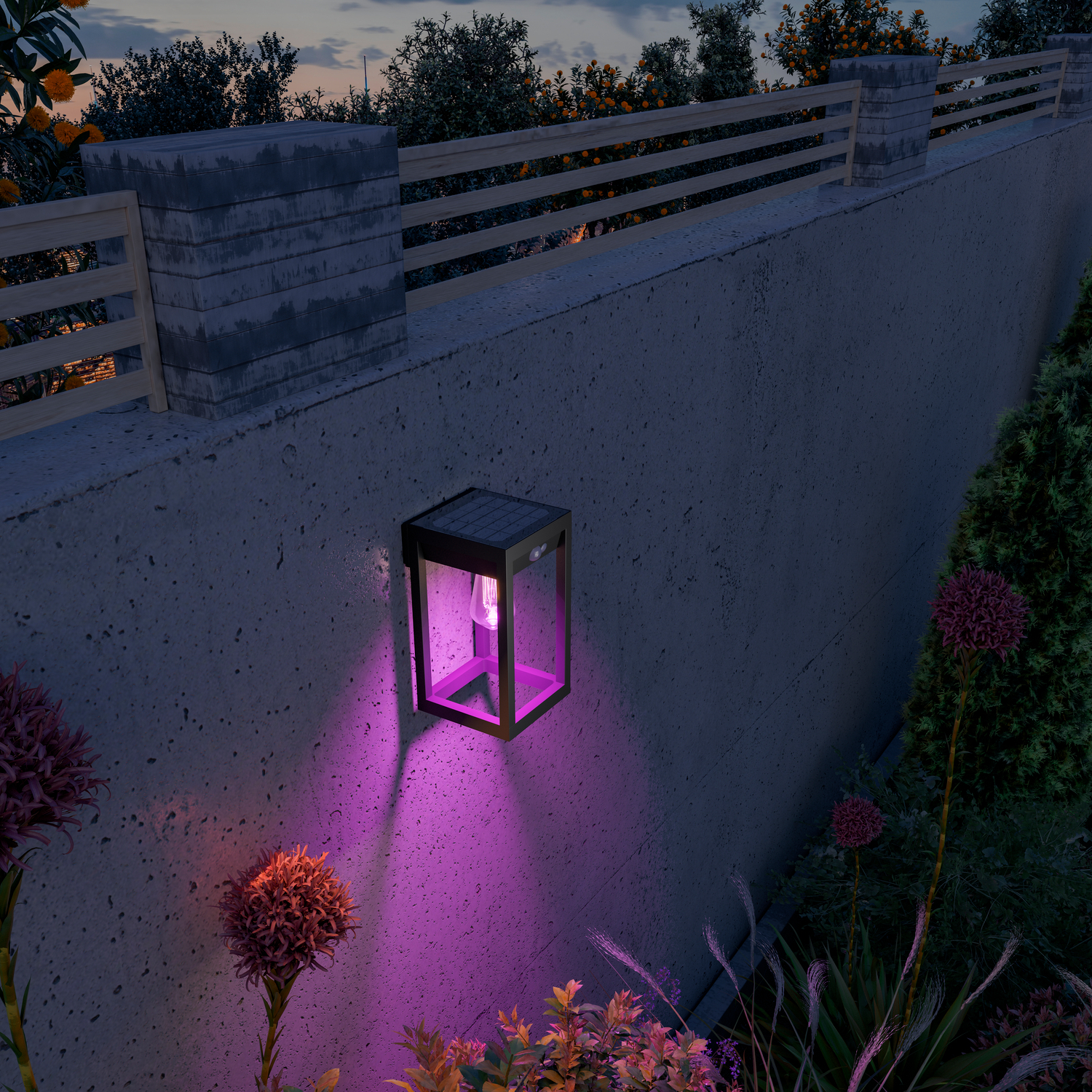 Luce esterna nera su un muro, che emette luce viola. Piante visibili intorno alla luce.