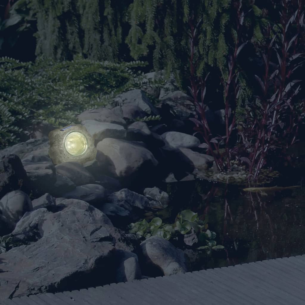 Steinähnliches Licht beleuchtet einen Teich. Pflanzen umgeben das Wasser, dunkler Nachthimmel.