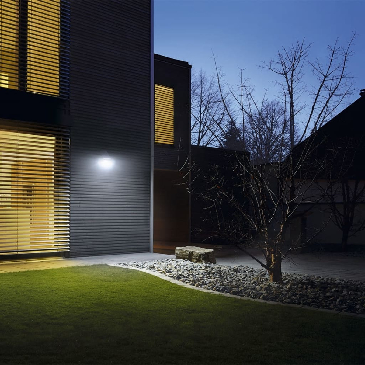 Nachtszenen eines Hauses mit Scheinwerfer, der die Wand beleuchtet. Kahler Baum und Gras.