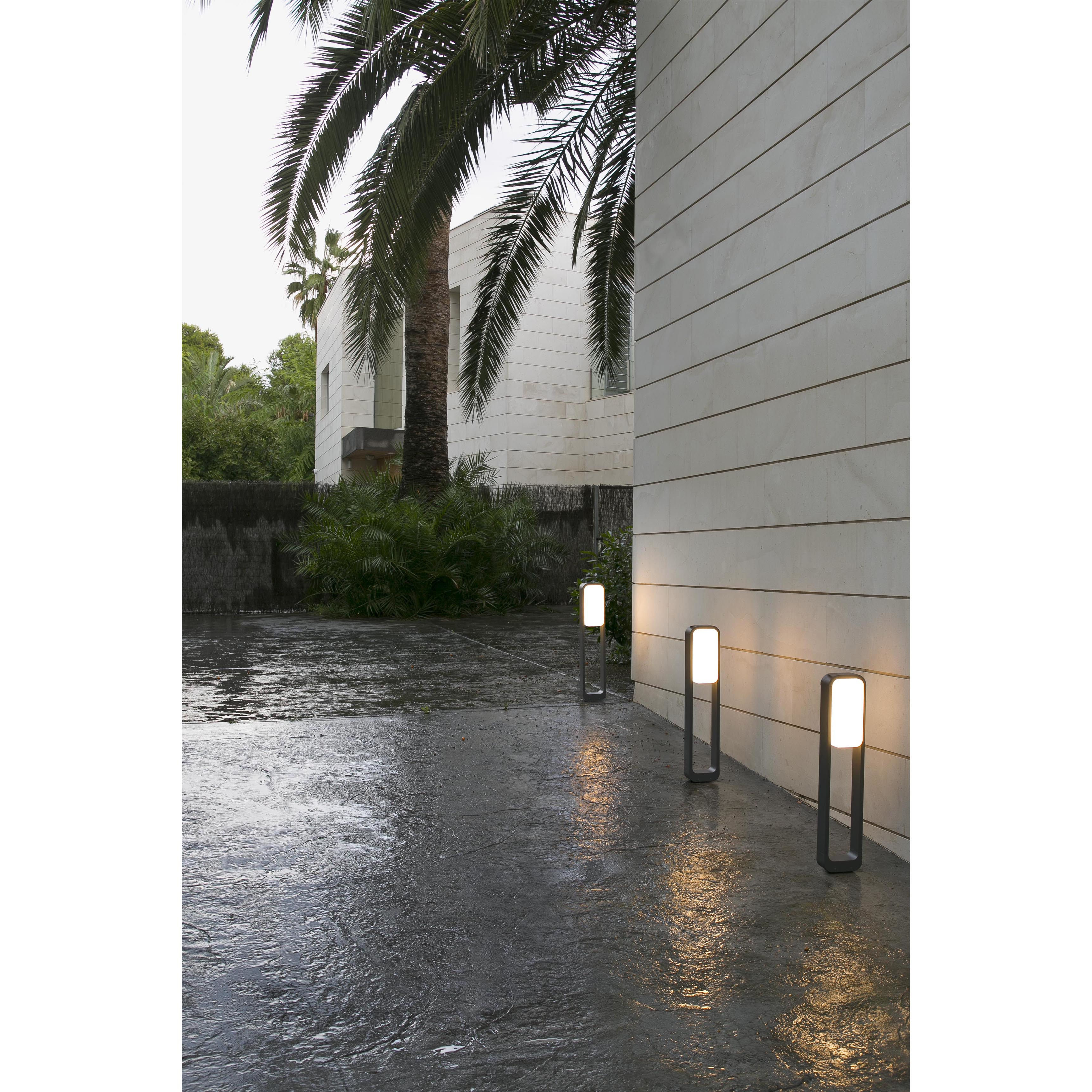 Tre luci esterne su superficie pavimentata bagnata, palme sullo sfondo.