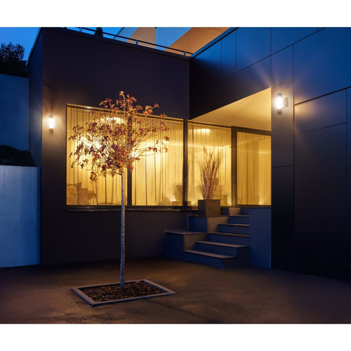 Vista notturna esterna di un edificio con luci accese, un albero e un piccolo giardino.