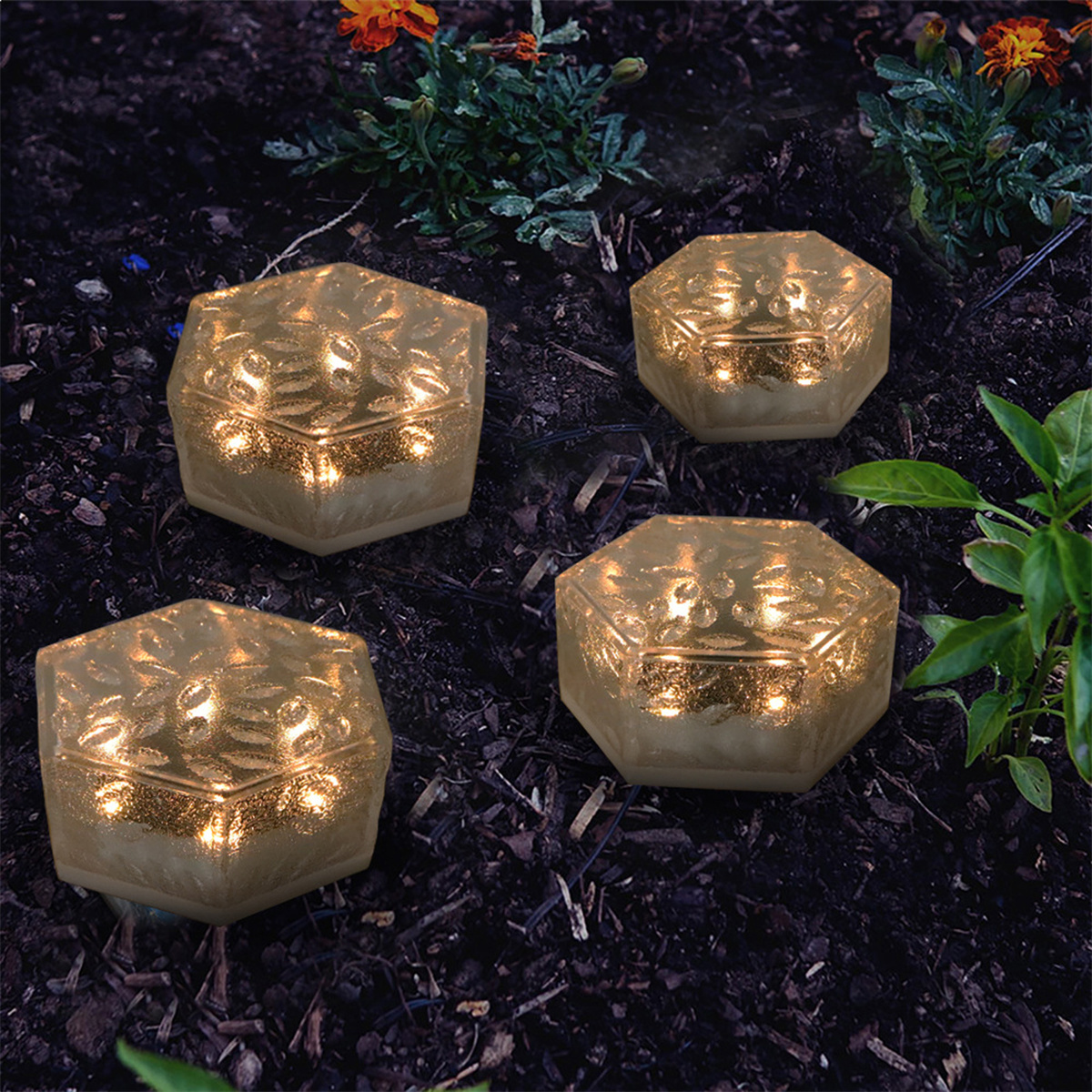 Vier beleuchtete sechseckige Gartenlichter auf dunklem Boden, mit grünen Pflanzen im Hintergrund.