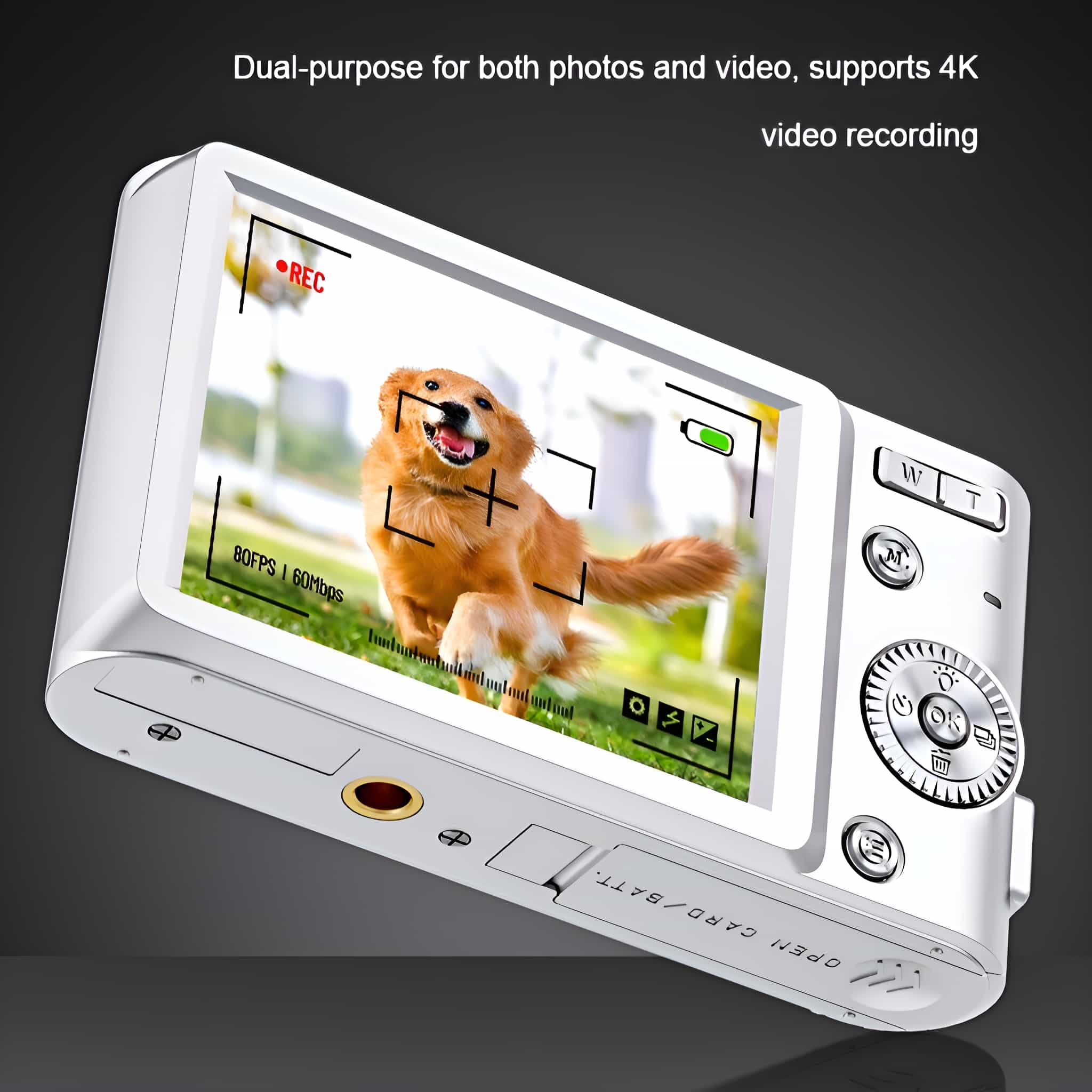 Eine weiße Kamera zeigt ein Hundefoto auf dem Bildschirm. Es zeigt ein Aufnahmesymbol und einen Batteriestand.