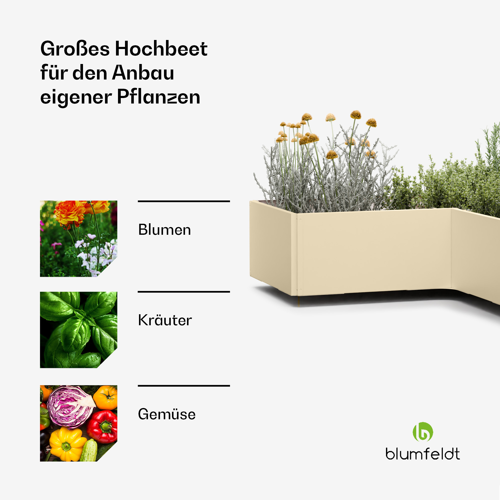 Hochbeet mit Pflanzen und Text zum Anbau eigener Pflanzen.