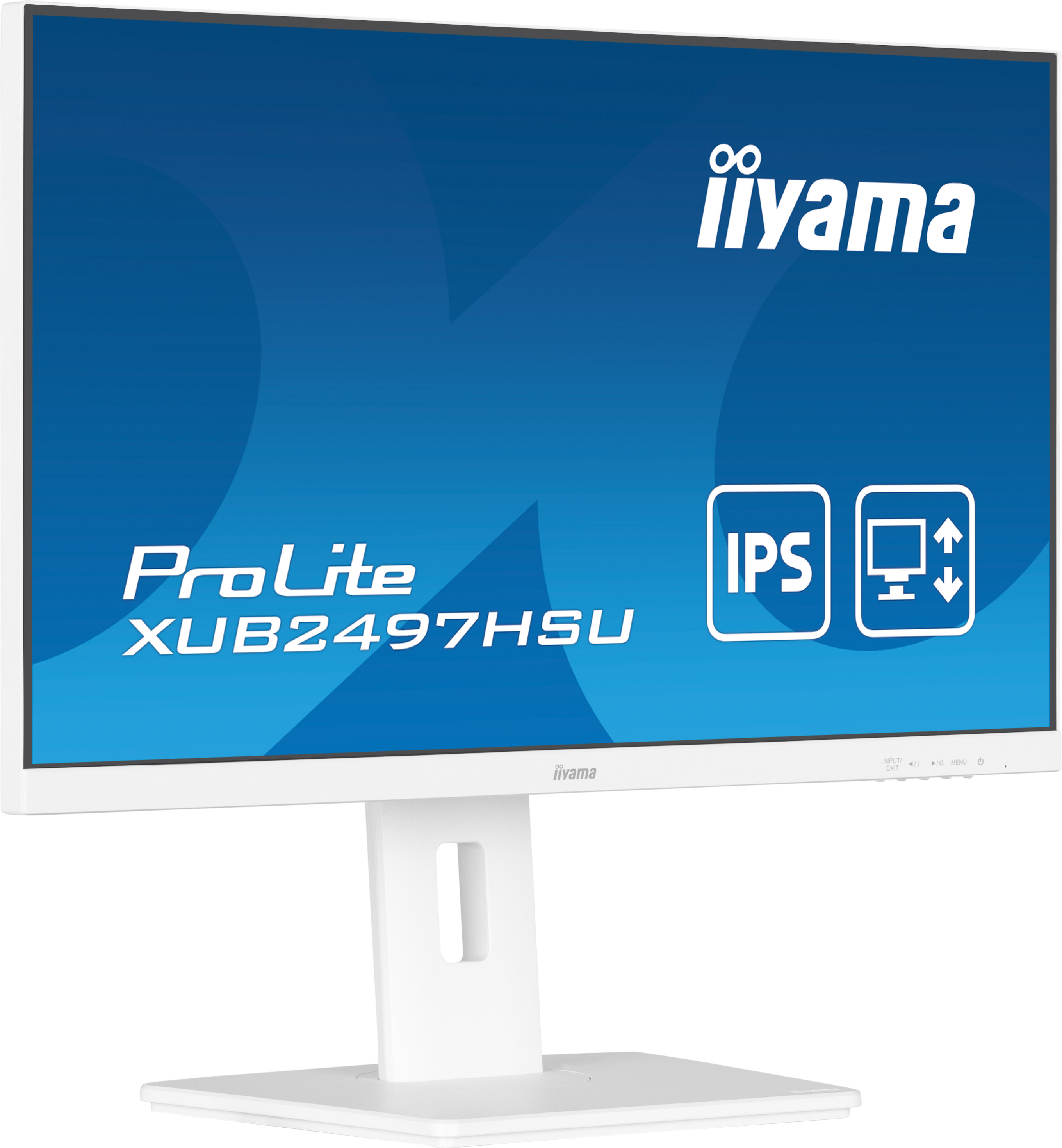 Biały monitor z niebieskim tłem. Wyświetla logo iiyama i słowo ProLite.
