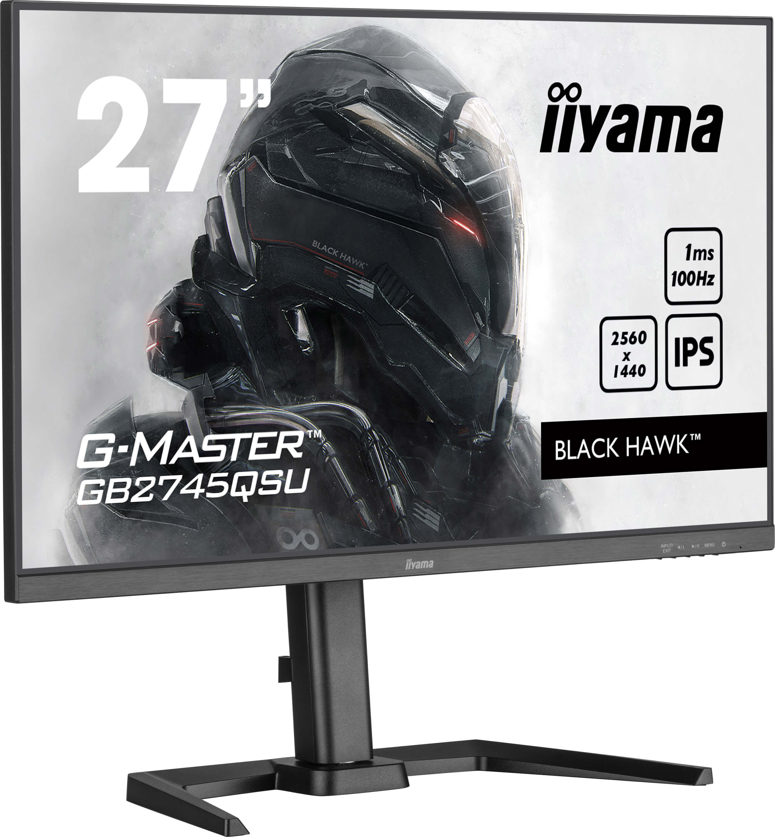 Monitor do gier z czarną ramką, wyświetlający scenę z gry. Monitor ma etykiety iiyama i Black Hawk.
