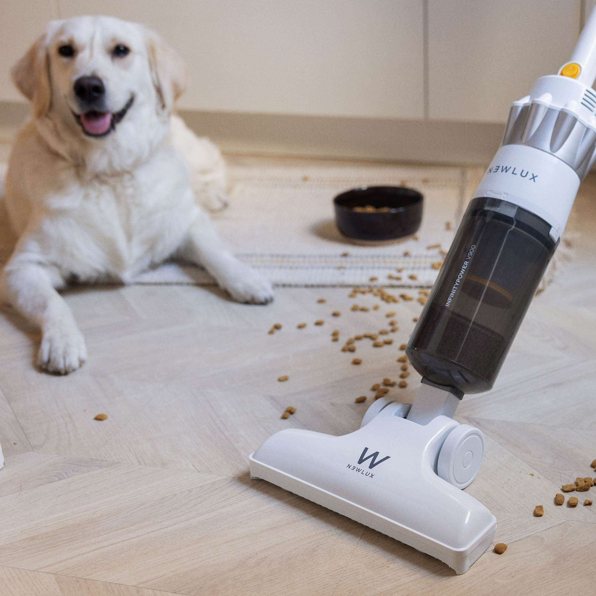 Un perro golden retriever sonríe junto a una aspiradora, con pienso esparcido en el suelo.