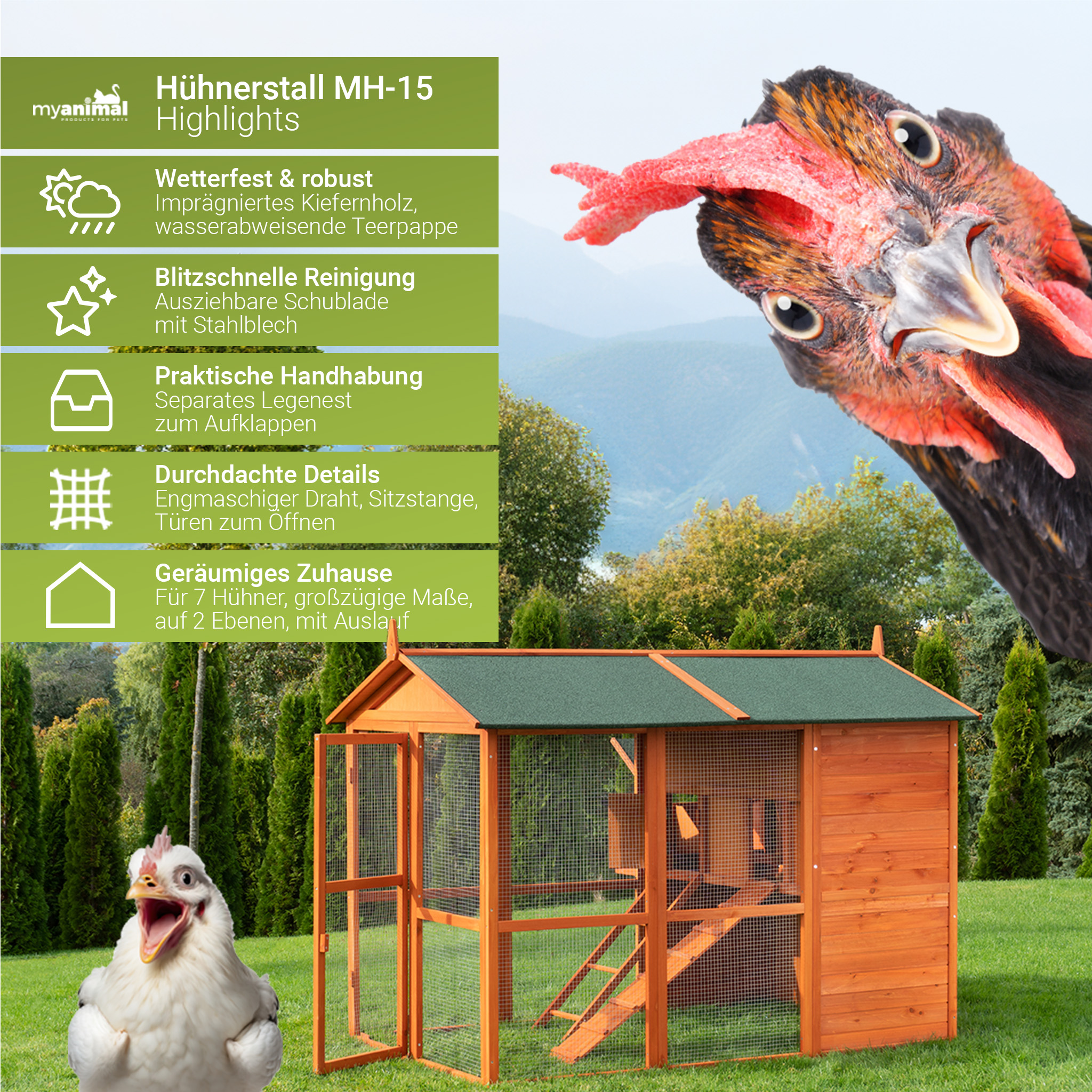 Ein Hühnerstall mit offener Tür, mit einem Huhn im Hintergrund.