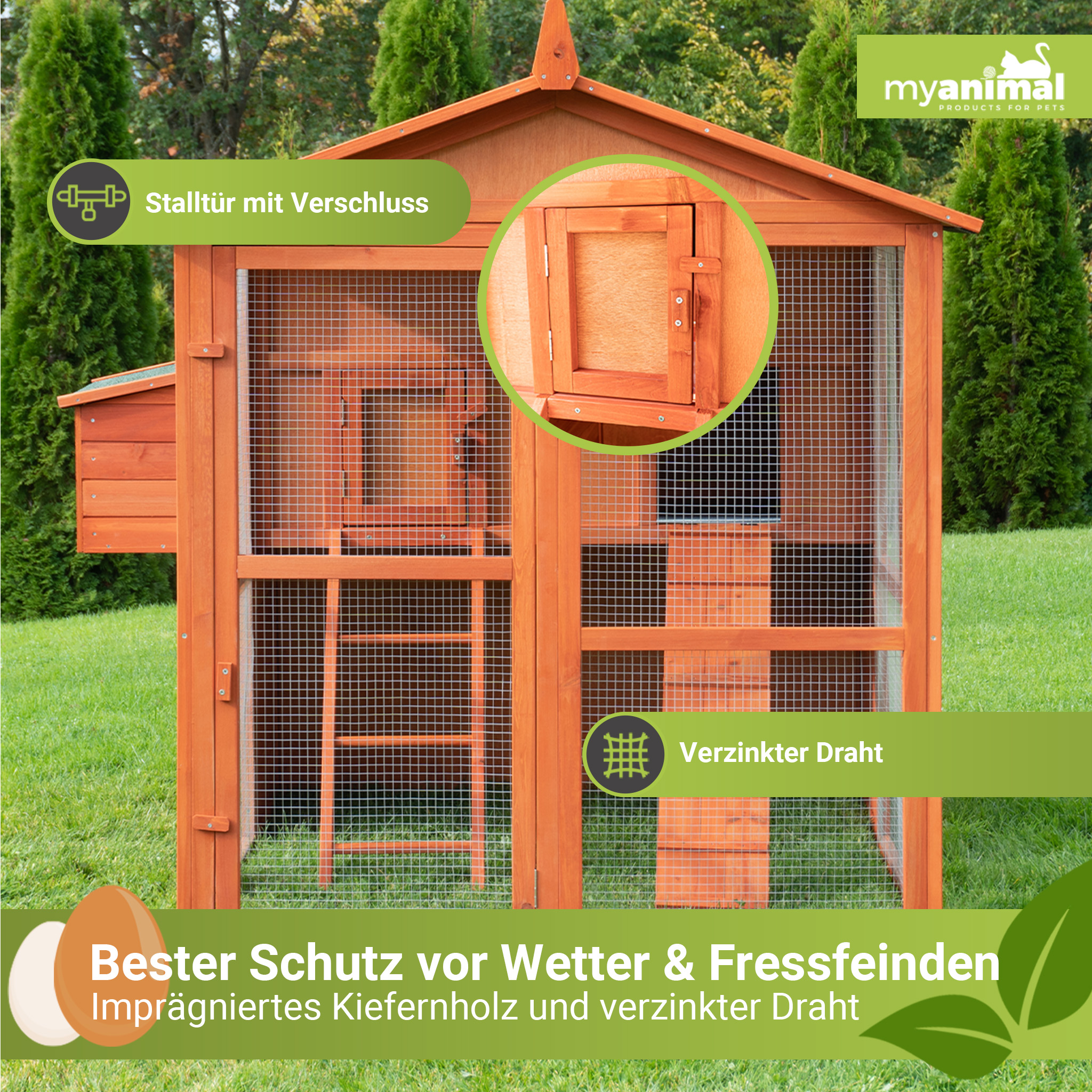Hühnerstall aus Holz mit Drahtgeflecht und Tür. Grüner Gras-Hintergrund mit Text-Overlays.