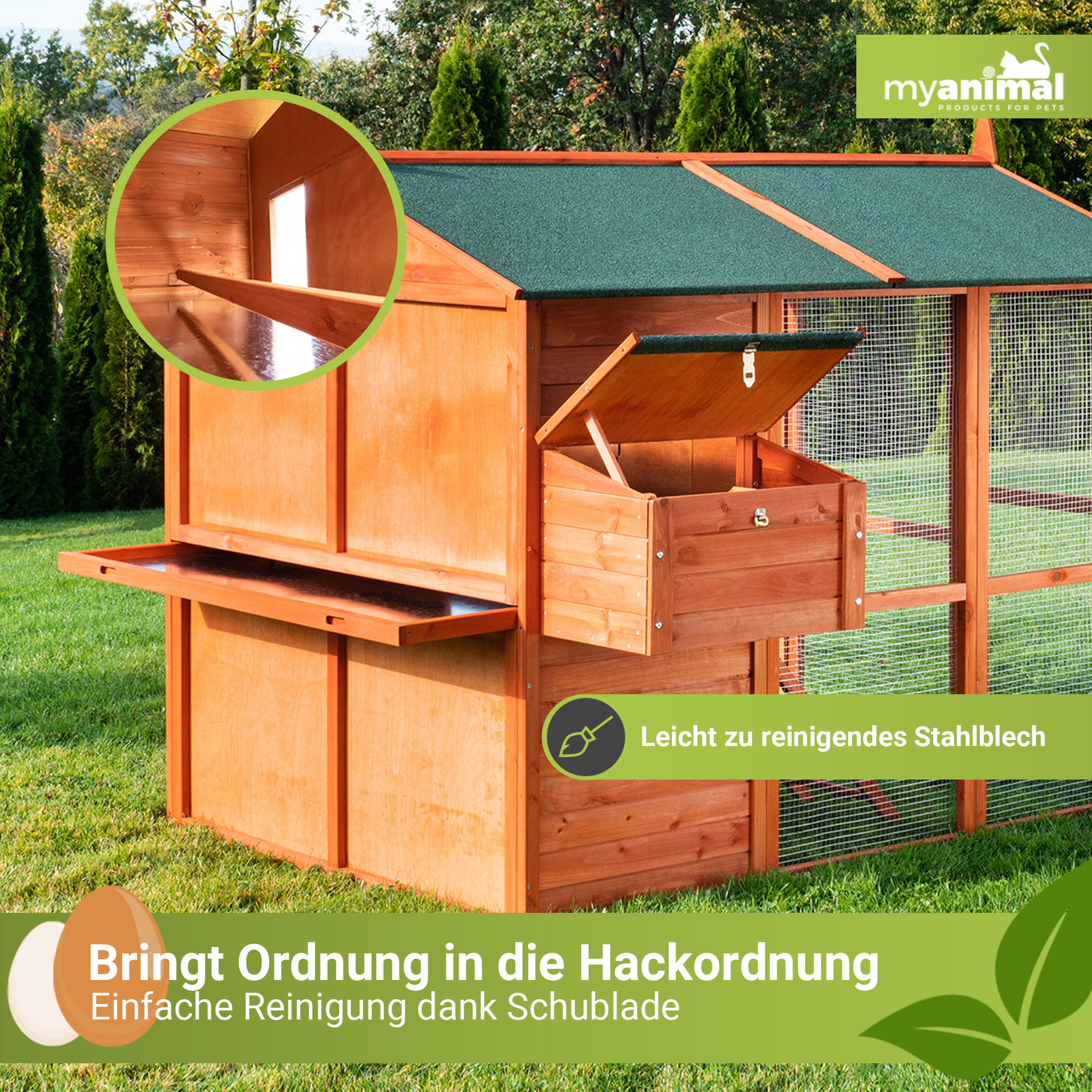 Hühnerstall aus Holz mit grünem Dach, offenen Fächern und detaillierter Ansicht des Innenraums.