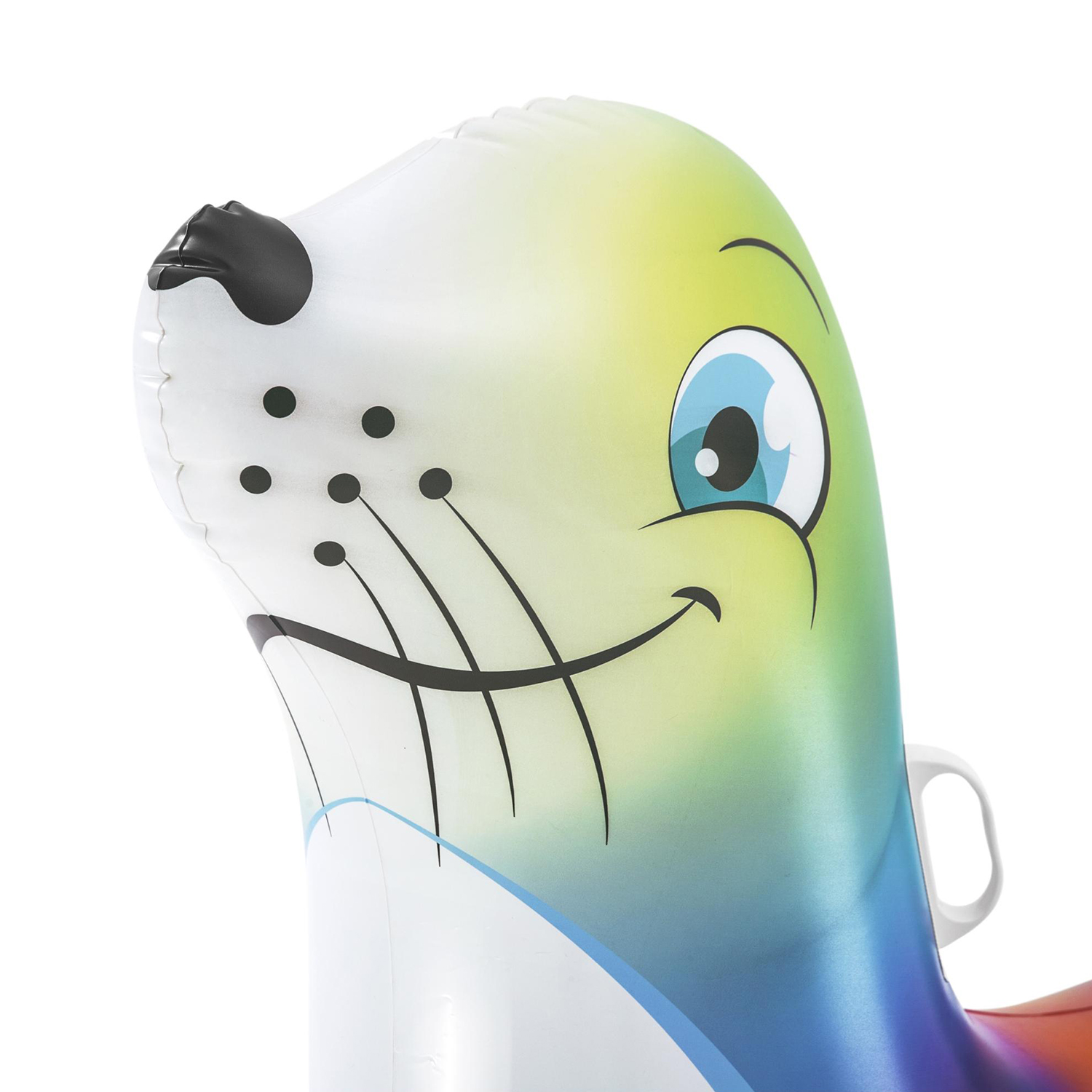 Testa di foca gonfiabile colorata, sfondo bianco.