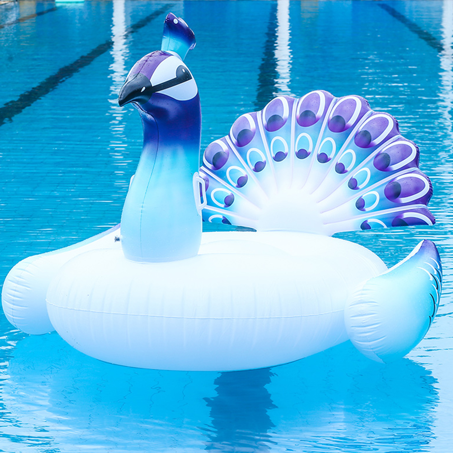 Un pavone gonfiabile che galleggia in acqua blu, con la sua coda a ventaglio e il collo lungo visibili.