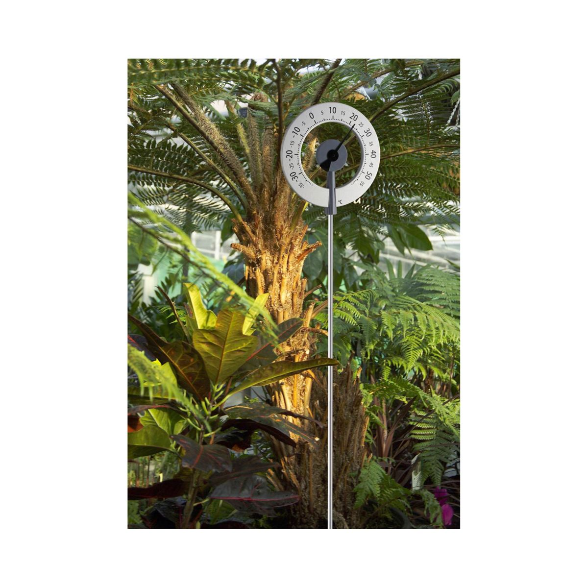 Eine Wetterstation, die ein kreisförmiges Messgerät zeigt, steht in einem Garten mit einem Baum.