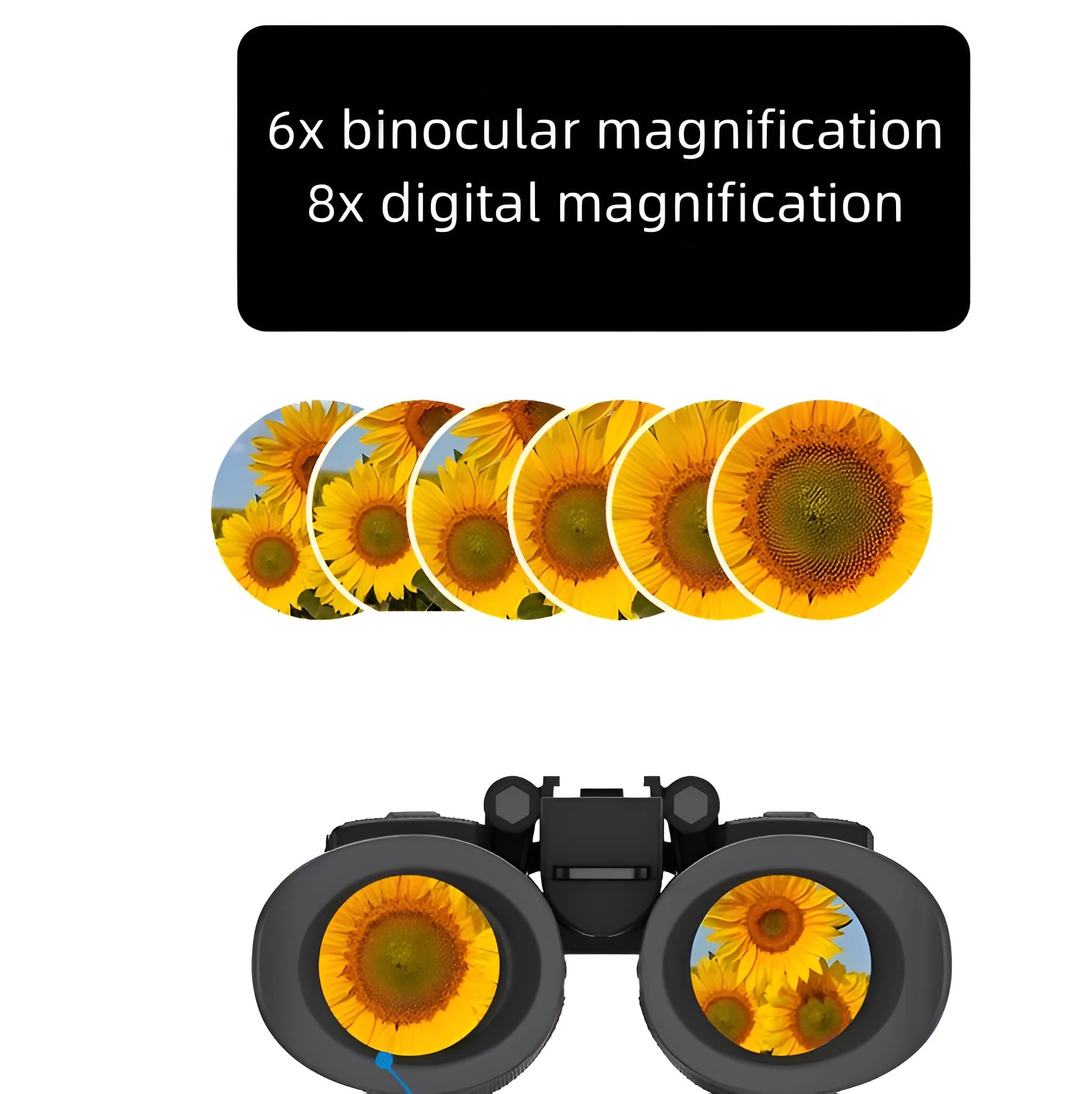 Fernglas mit Sonnenblumenfeld, Vergrößerungsdetails sind dargestellt.