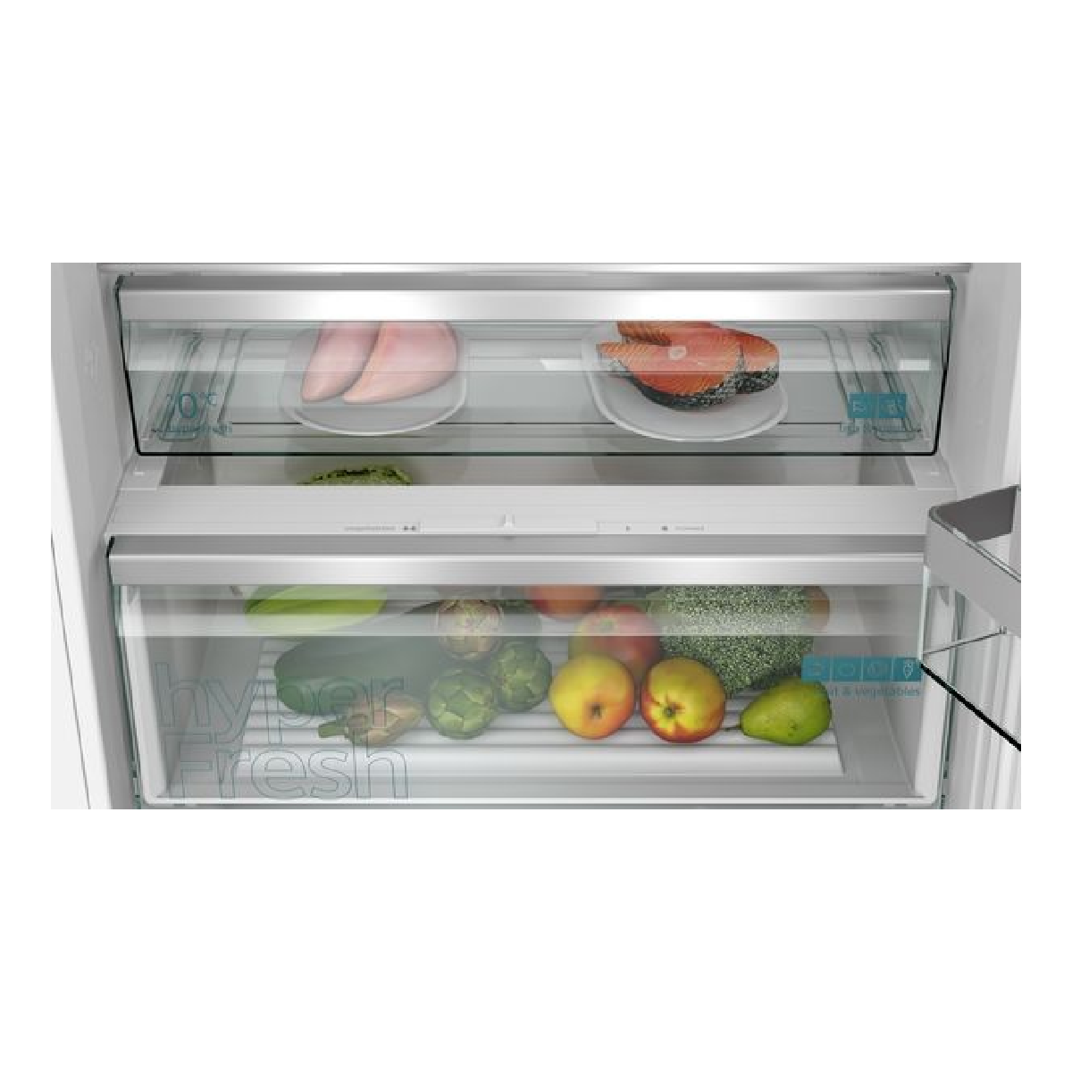 Primer plano del interior del refrigerador con productos, pescado y carne en estantes.