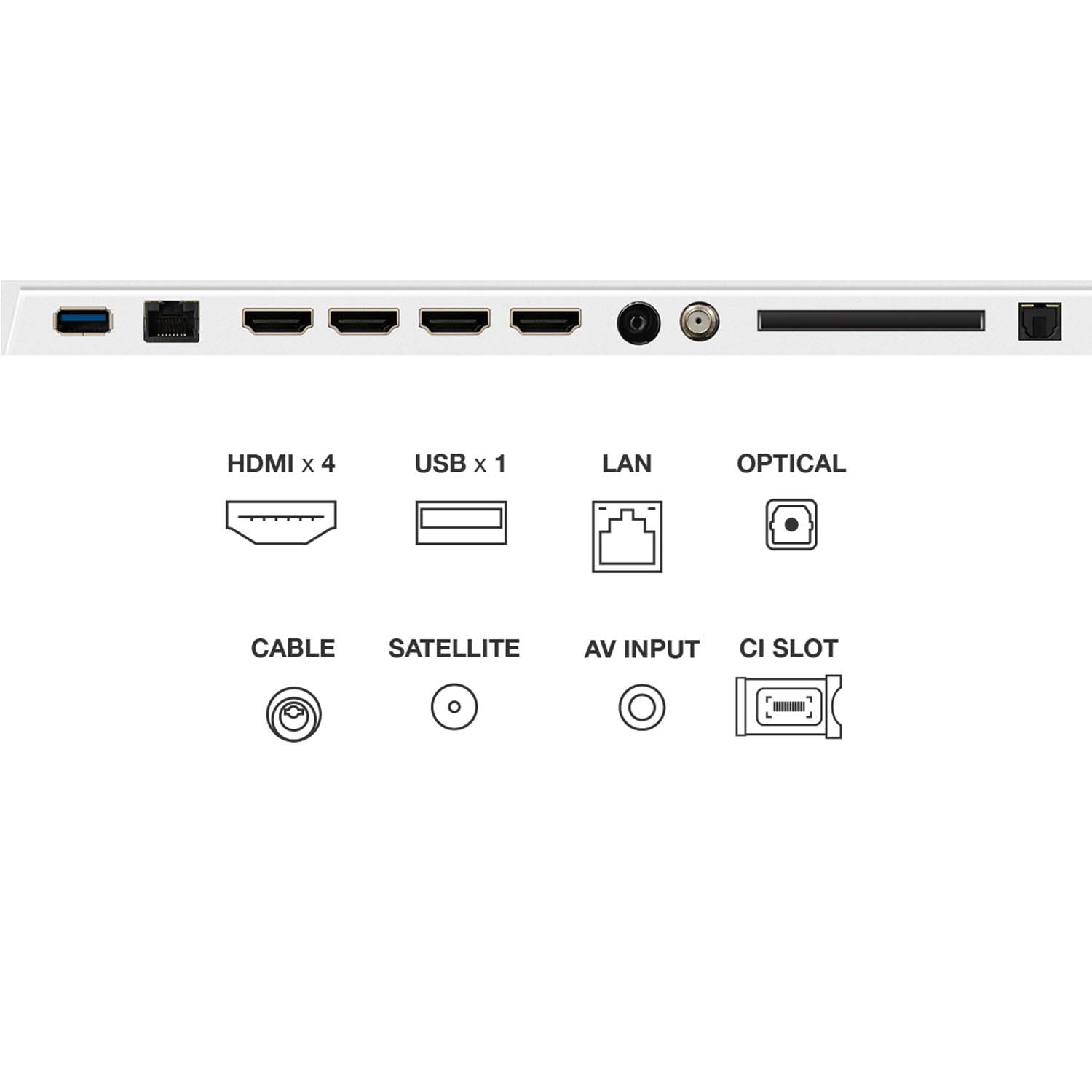Una superficie blanca con varios puertos de conexión de TV etiquetados. Estos incluyen HDMI, USB, LAN y otras entradas.