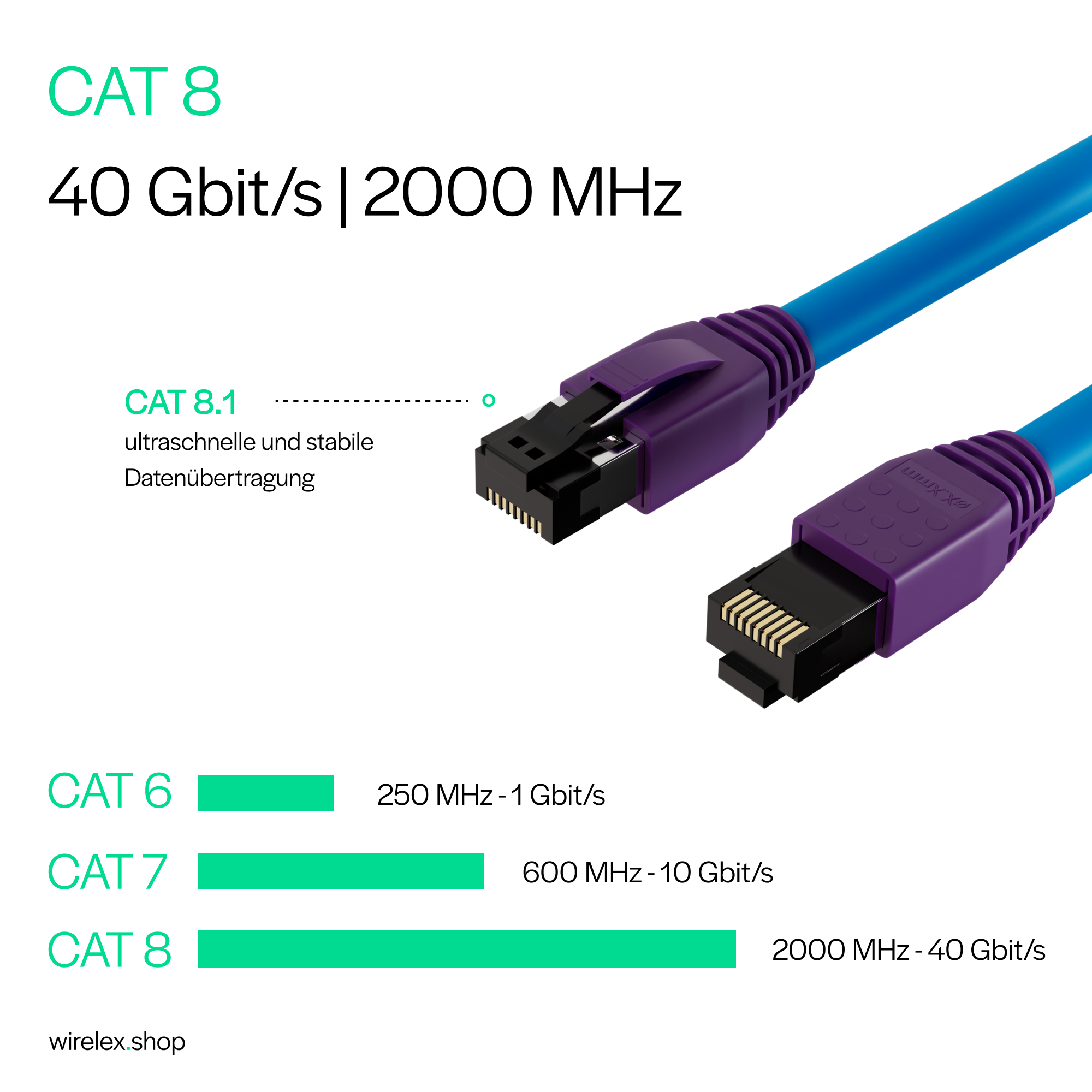 Blaue und violette Netzwerkkabelstecker mit Datenrateninformationen.