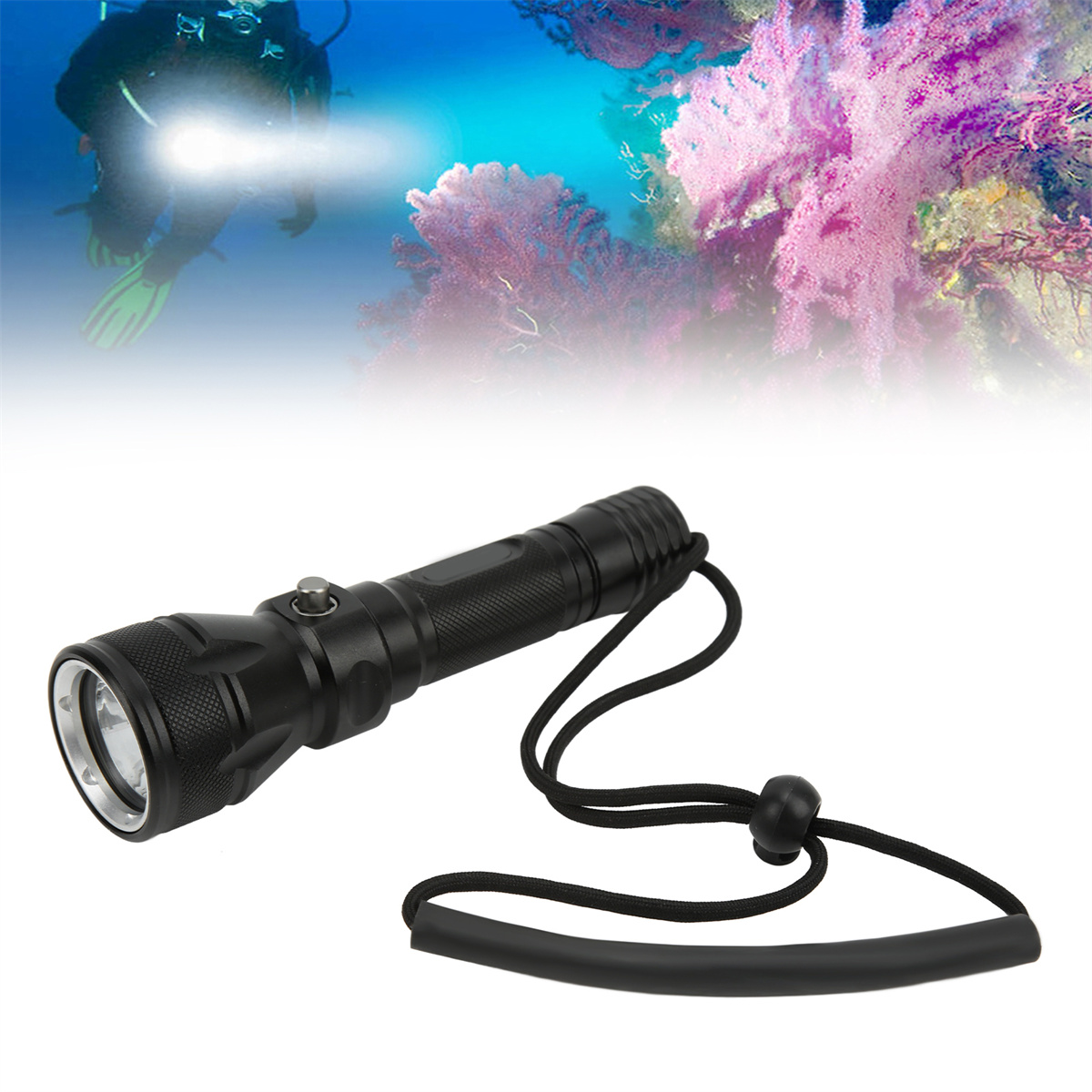 Ein Taucher unter Wasser mit einer Taschenlampe, die auf ein Korallenriff gerichtet ist. Helles Licht.