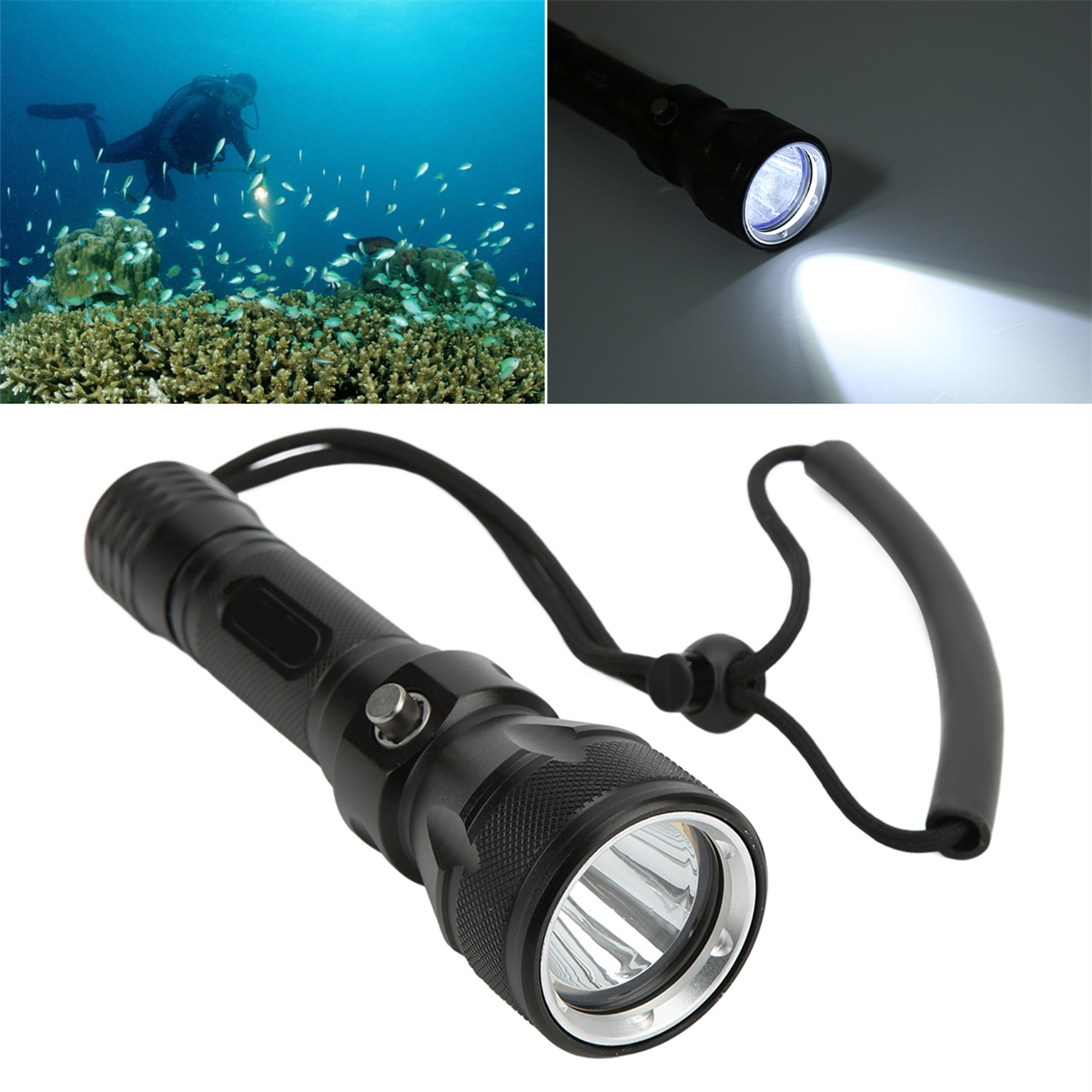 Unterwasserszene mit Taucher und Fischen, und eine Taschenlampe mit hellem Strahl.