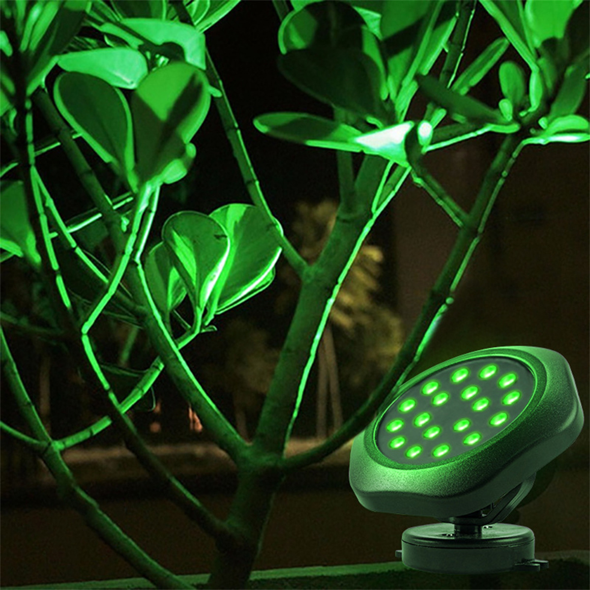 Grüner LED-Strahler beleuchtet einen Busch. Das Licht konzentriert sich auf die Blätter, Nachtszene.