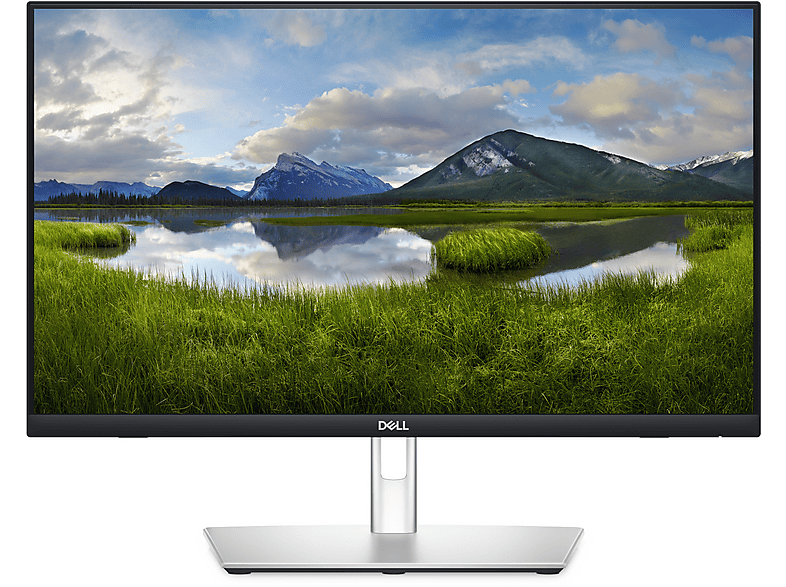 DELL P2424HT 1920x1080 HDMI DP Type-C Touch 23,8 inç Full-HD 8 ms 60 Hz IPS Monitör Gri