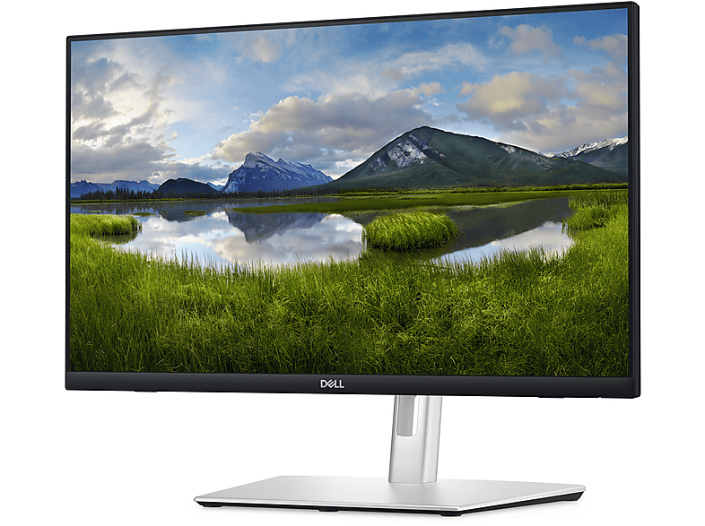 DELL P2424HT 1920x1080 HDMI DP Type-C Touch 23,8 inç Full-HD 8 ms