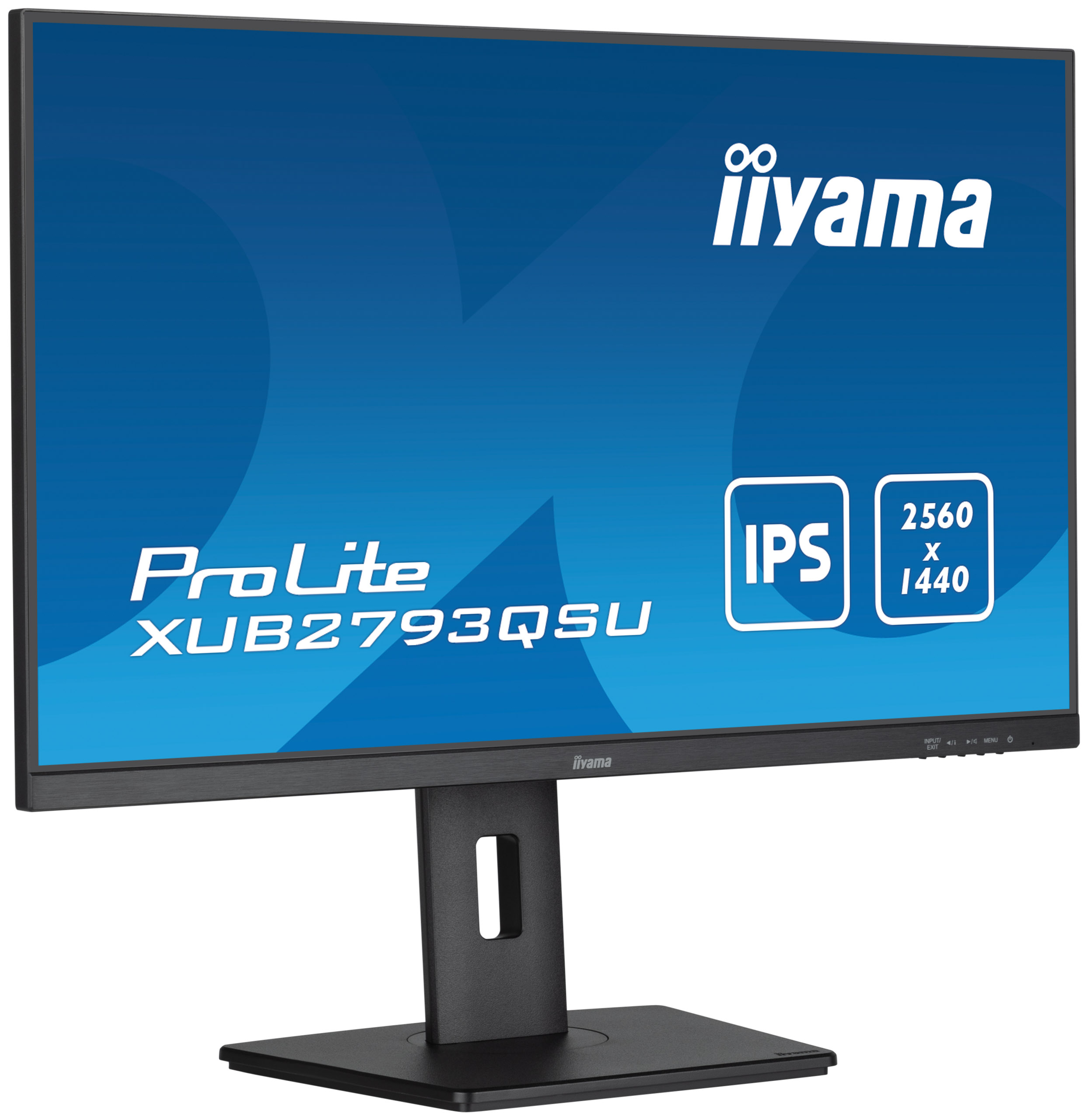 Monitor iiyama ProLite z tekstem i logo IPS.