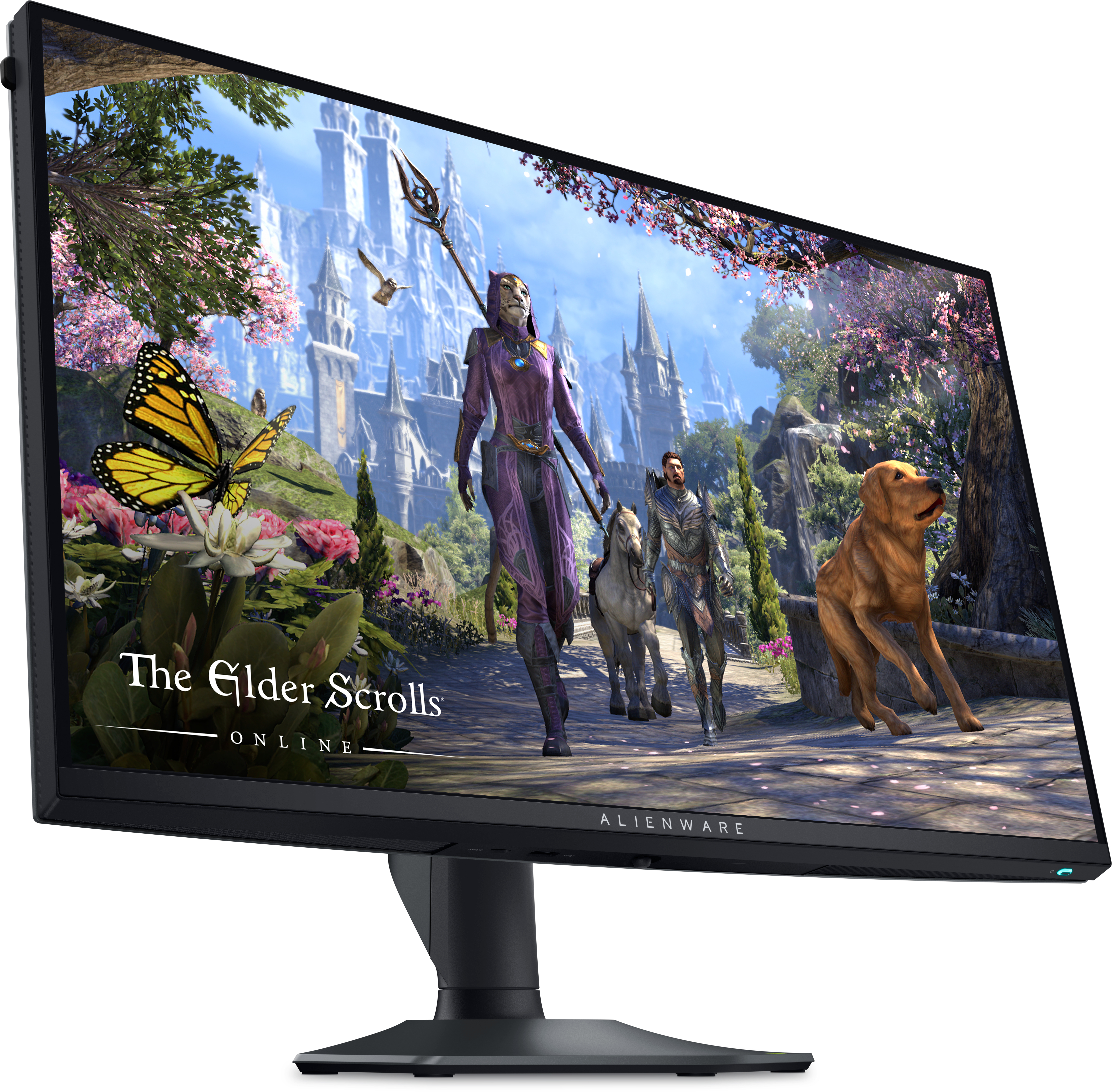 Gaming-Monitor mit Spielszene. Der Monitor steht auf einem Ständer. Der Hintergrund ist weiß.