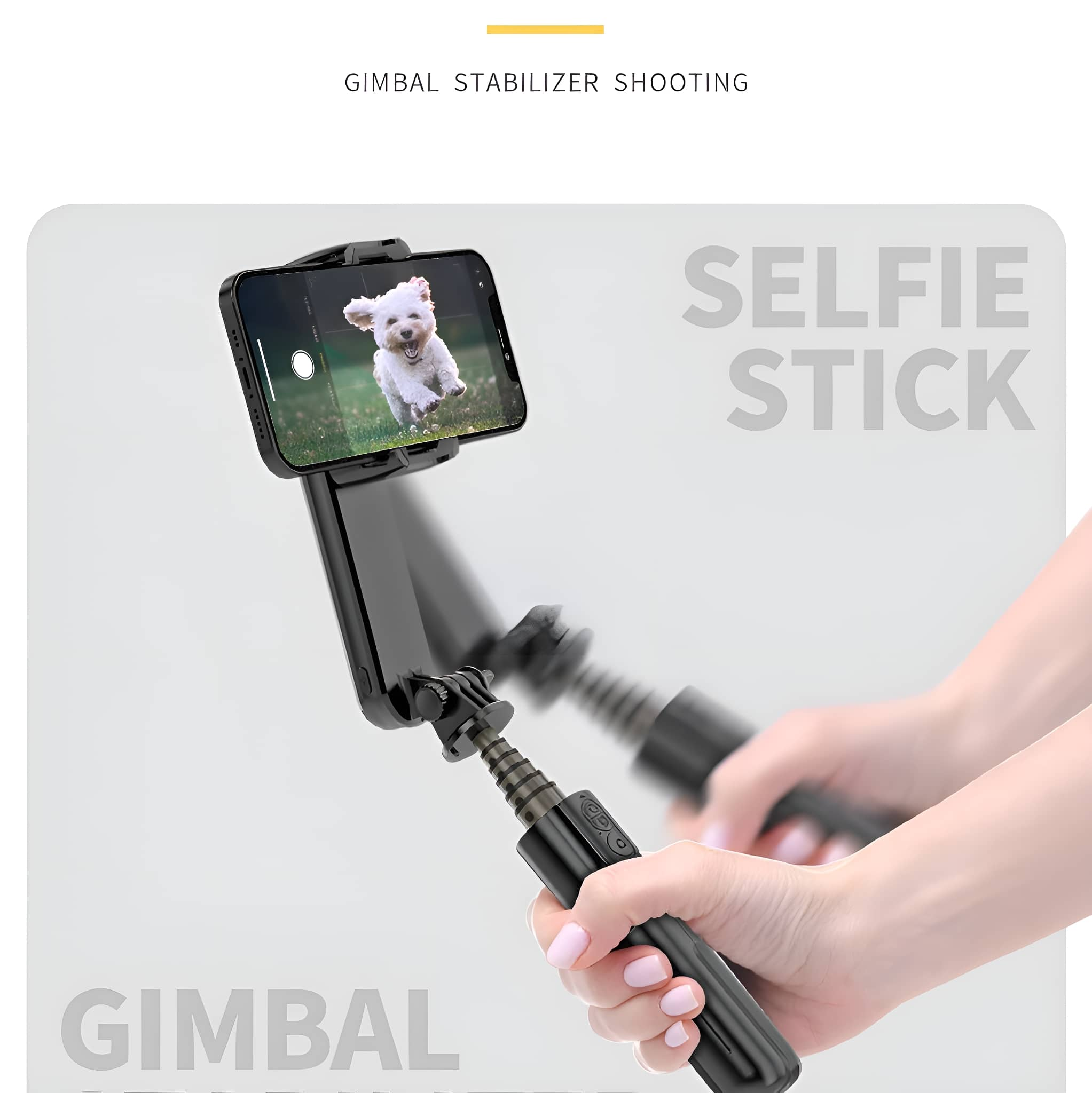 Smartphone auf Gimbal-Selfie-Stick mit Hund auf dem Bildschirm.