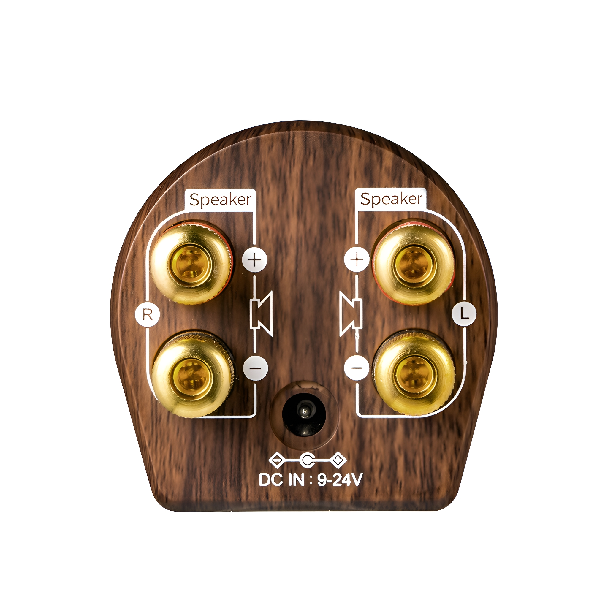 Ein Holz-Audio-Anschlusspanel mit goldfarbenen Lautsprecheranschlüssen und einem DC IN-Anschluss.