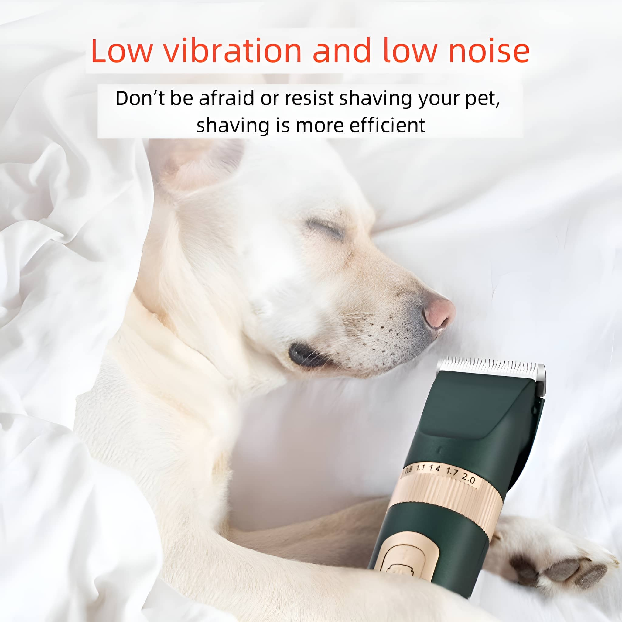 Hund auf Bett mit Schermaschine. Text: Geringe Vibration und Geräuscharmut.