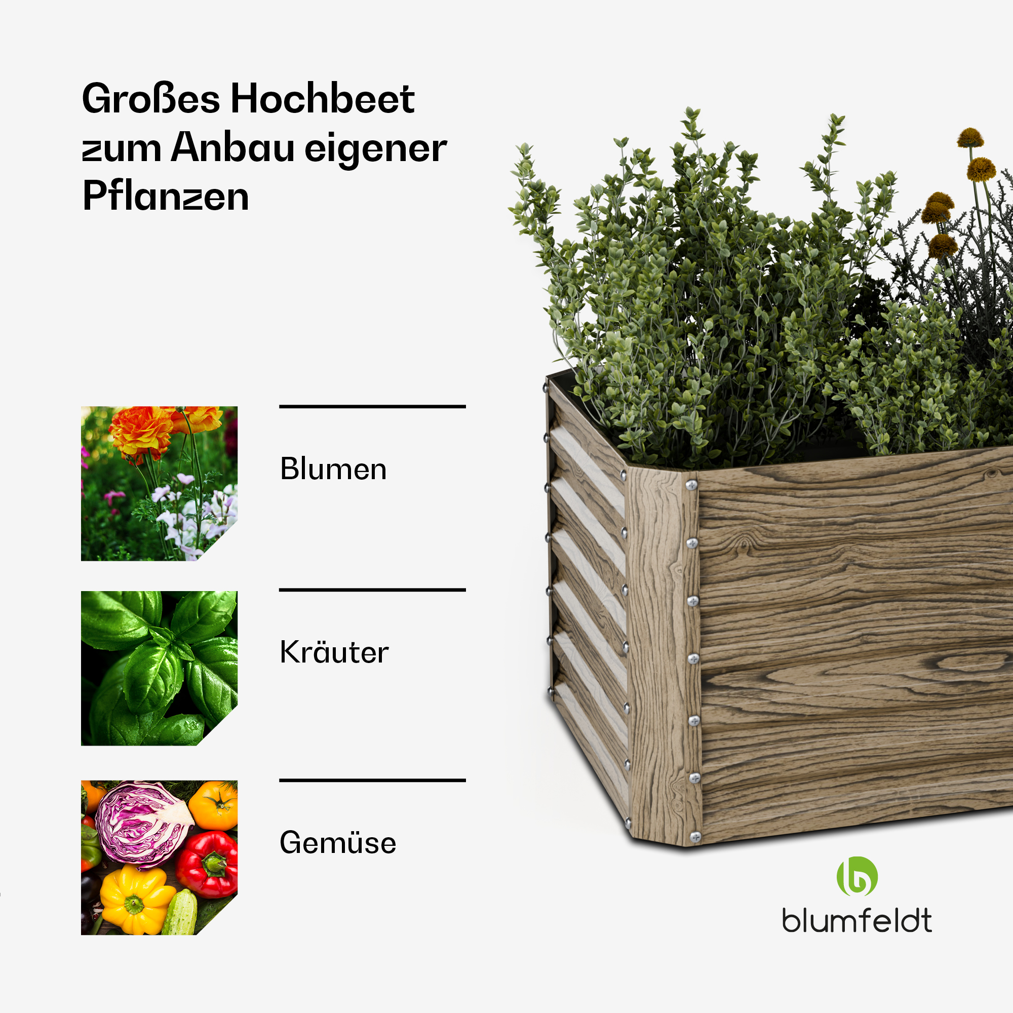 Jardinera elevada de madera con plantas y etiquetas para flores, hierbas y verduras. Logotipo de Blumfeldt visible.