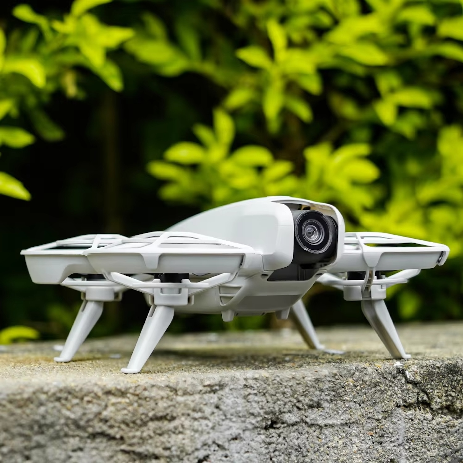 Un dron blanco con brazos extendidos se posa sobre una superficie de concreto, rodeado de follaje verde.