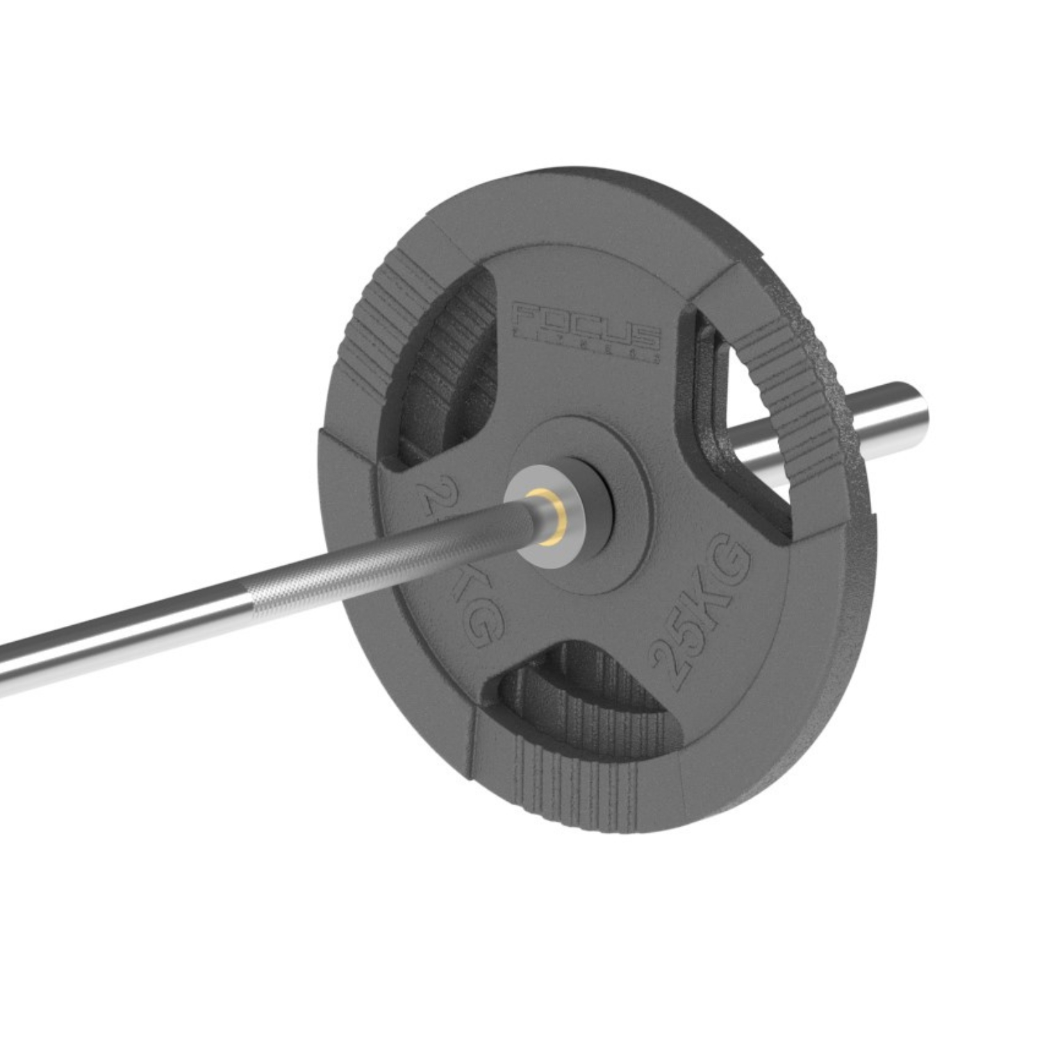 A 25KG weight plate on a barbell. The plate is grey and has the word FOCUS and FITNESS written on it.