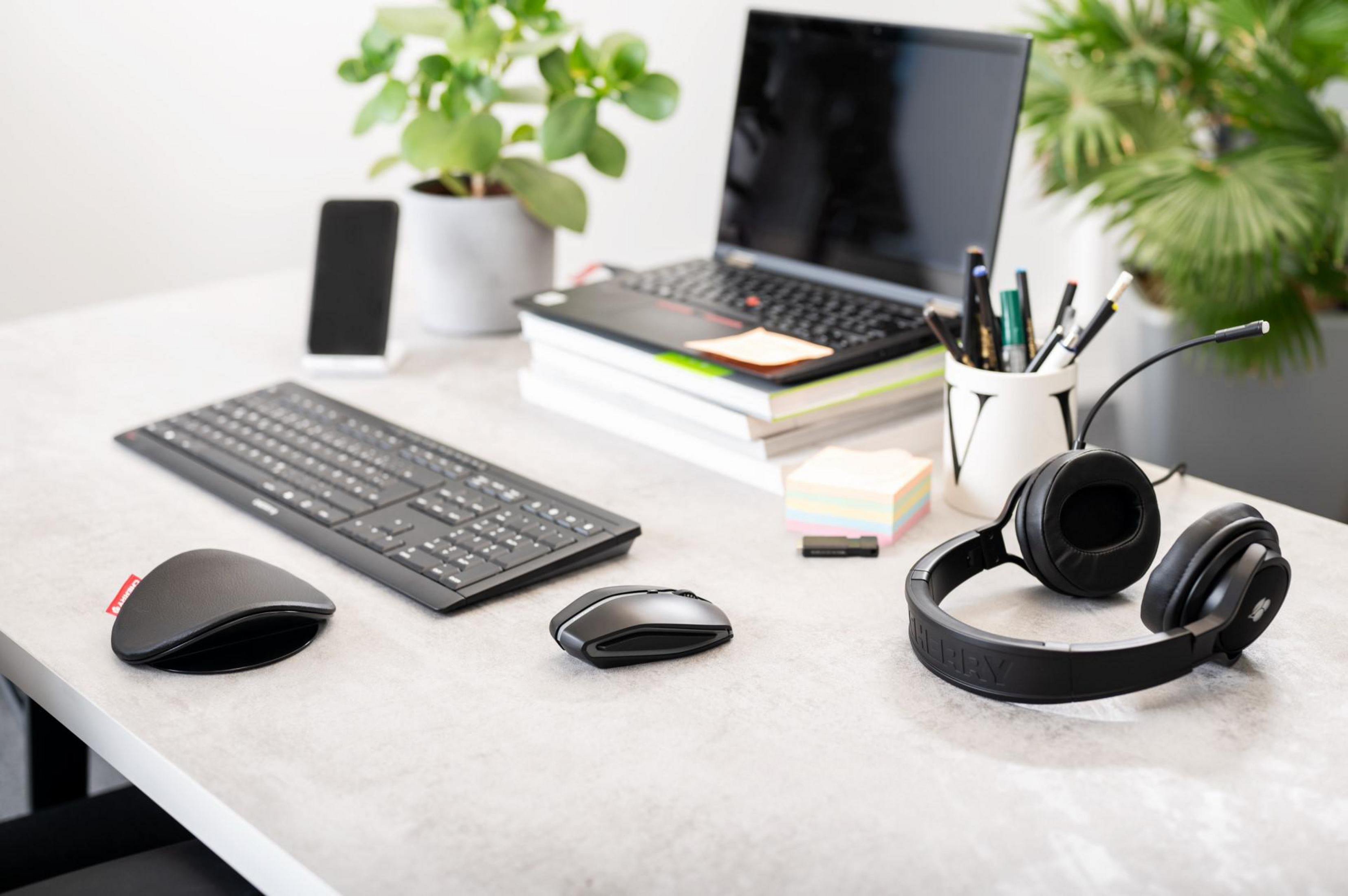 Desk with keyboard, mouse, phone, headset, laptop, and plant.
