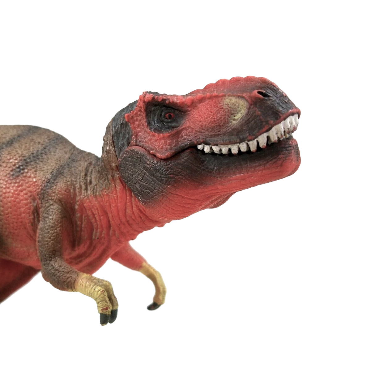 Giocattolo dinosauro rosso-marrone. Bocca aperta, denti bianchi. Sfondo bianco.