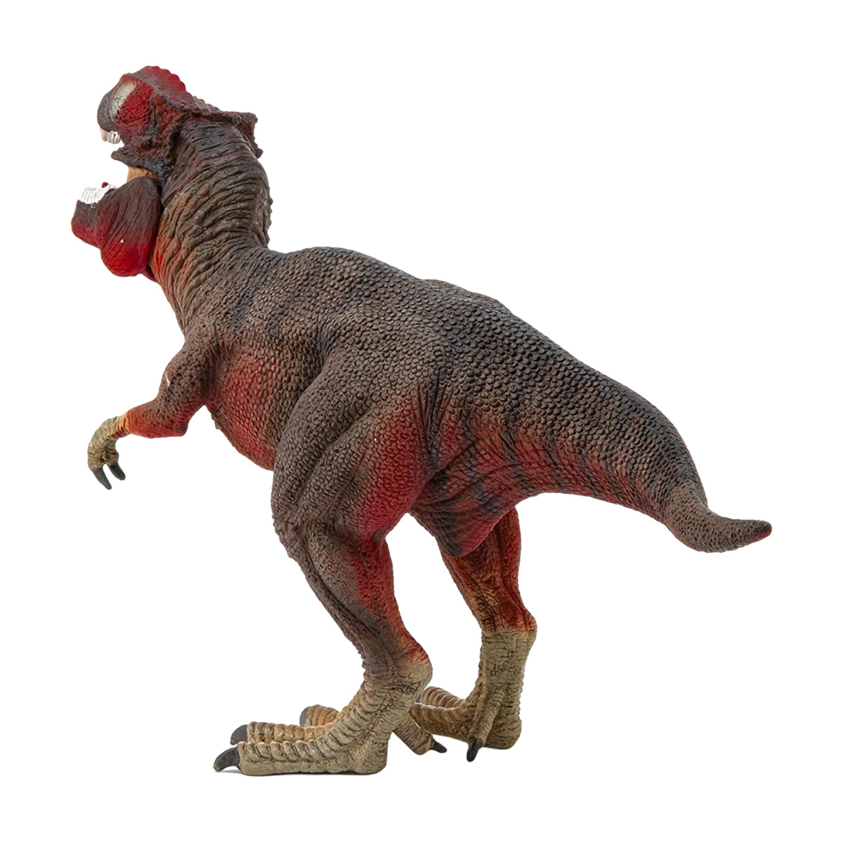 Giocattolo di dinosauro T-Rex, marrone e rosso con bocca aperta, su sfondo bianco.