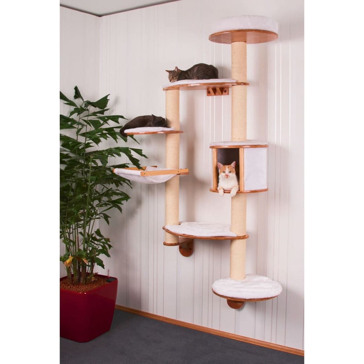 Mehrstöckiger Katzenbaum mit Katzen, Plattformen, Kratzbäumen und einem Katzenhaus, an einer Wand.