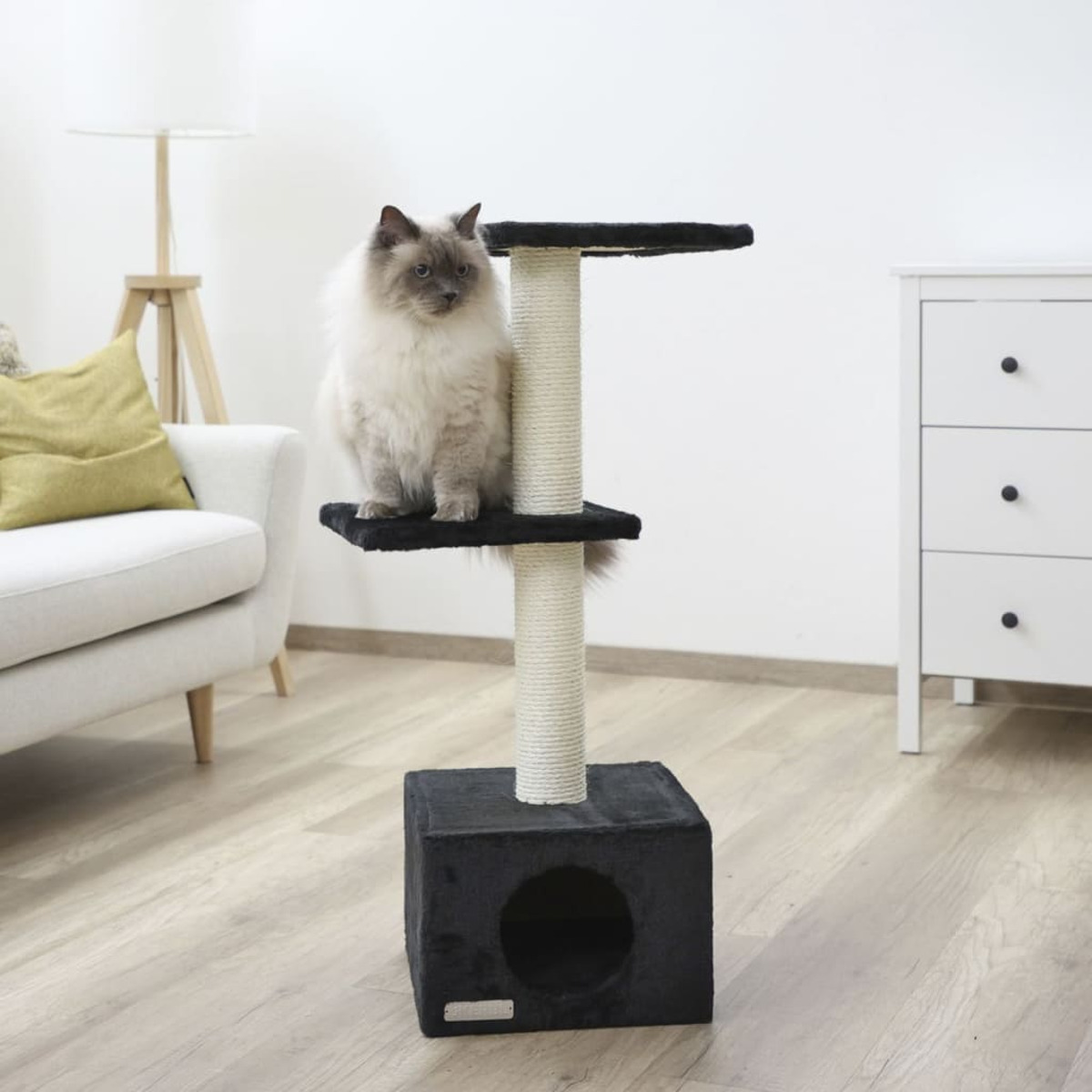 Un gatto su un albero per gatti. Il gatto è grigio e bianco. Lo sfondo è una stanza.