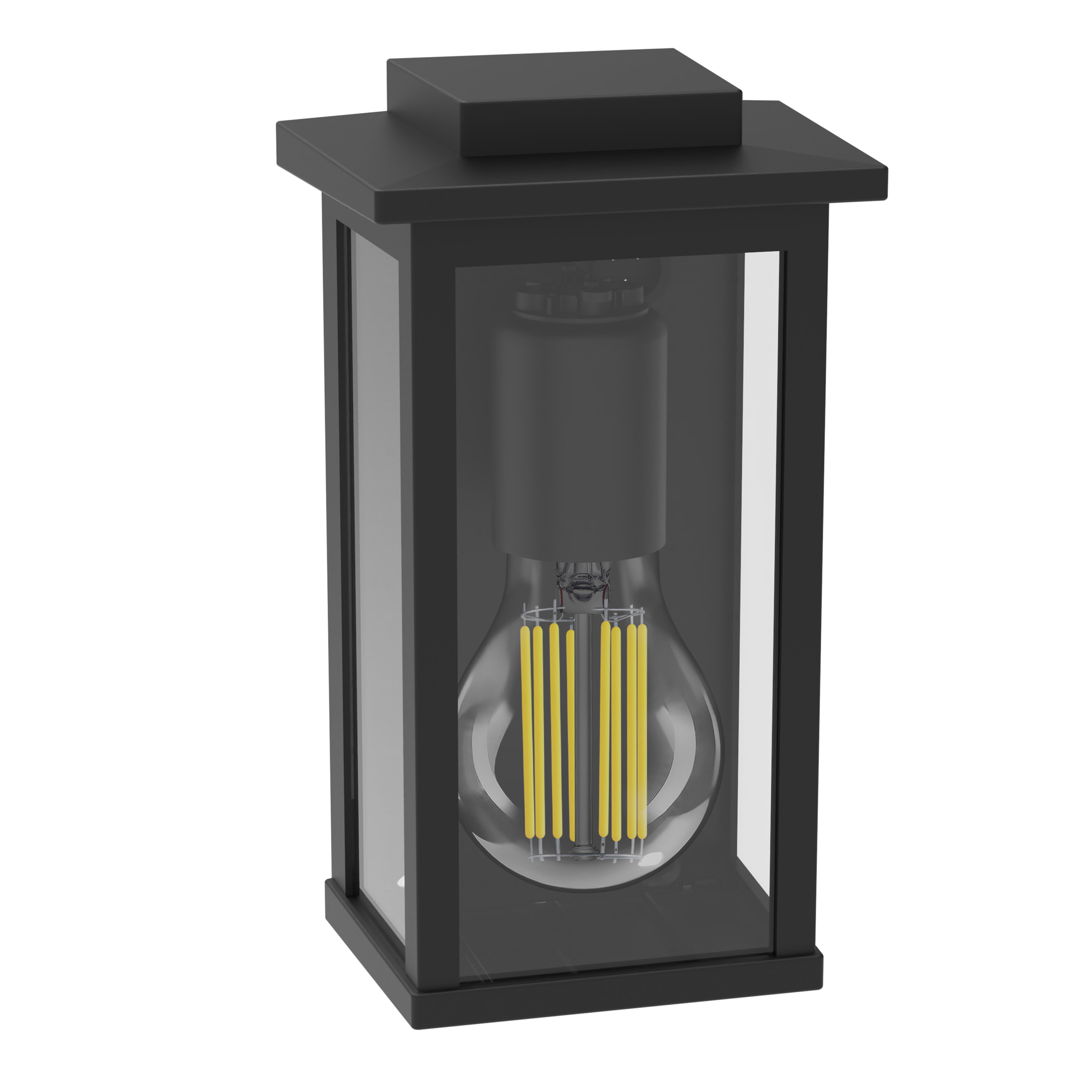 Black outdoor lamp with a clear glass panel, showing a lightbulb inside.