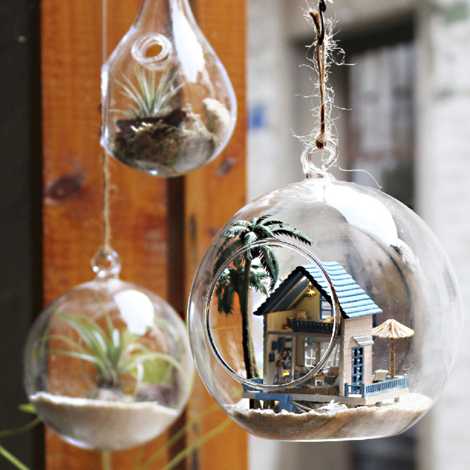 Terrari di vetro con piante e una casa in miniatura, appesi a spago. Sabbia sul fondo.