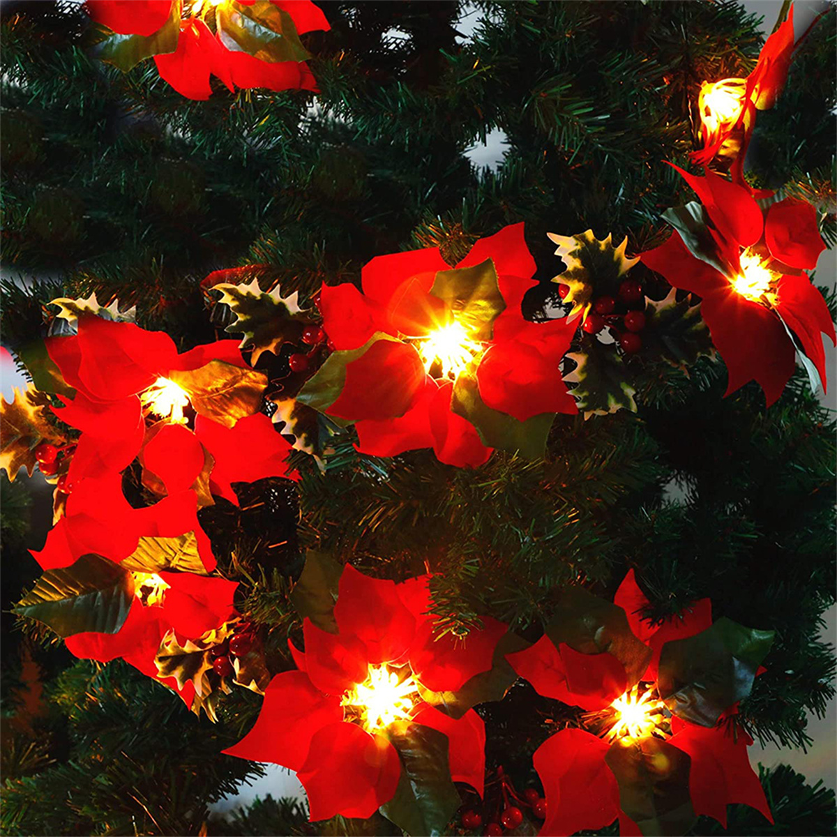 Nahaufnahme von Weihnachtslichtern mit roten Weihnachtssternen.