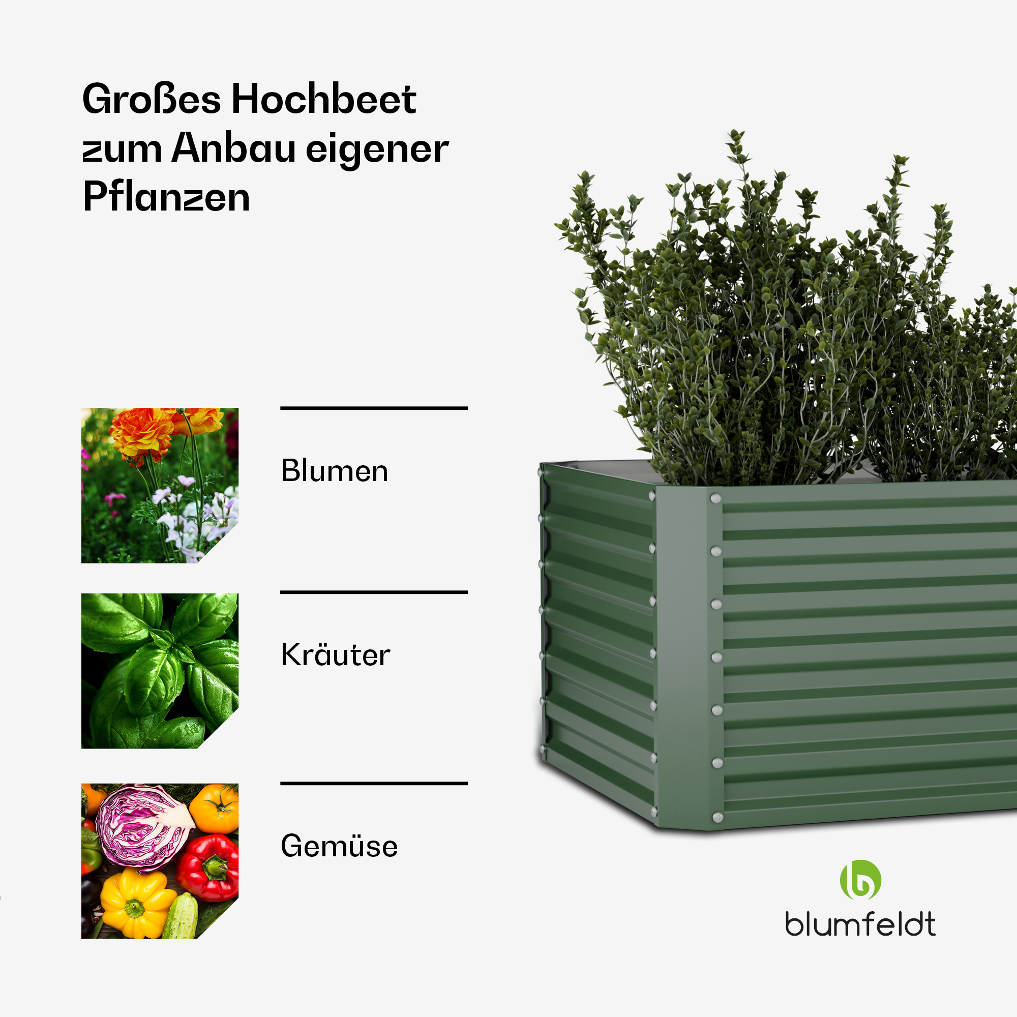 Grünes Hochbeet mit Pflanzen, darunter Blumen, Kräuter und Gemüse. Enthält das 'blumfeldt' Logo.