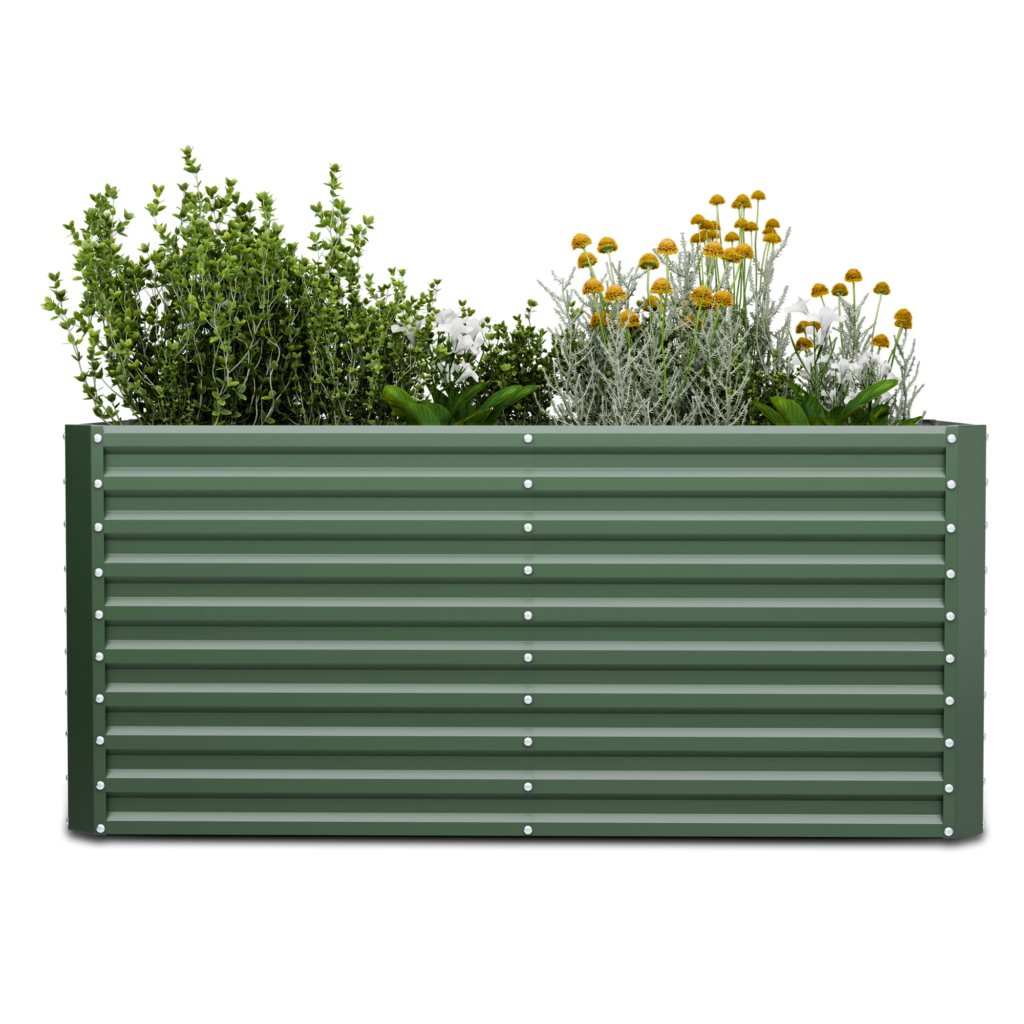 Ein grünes, erhöhtes Gartenbeet aus Metall mit Pflanzen darin.