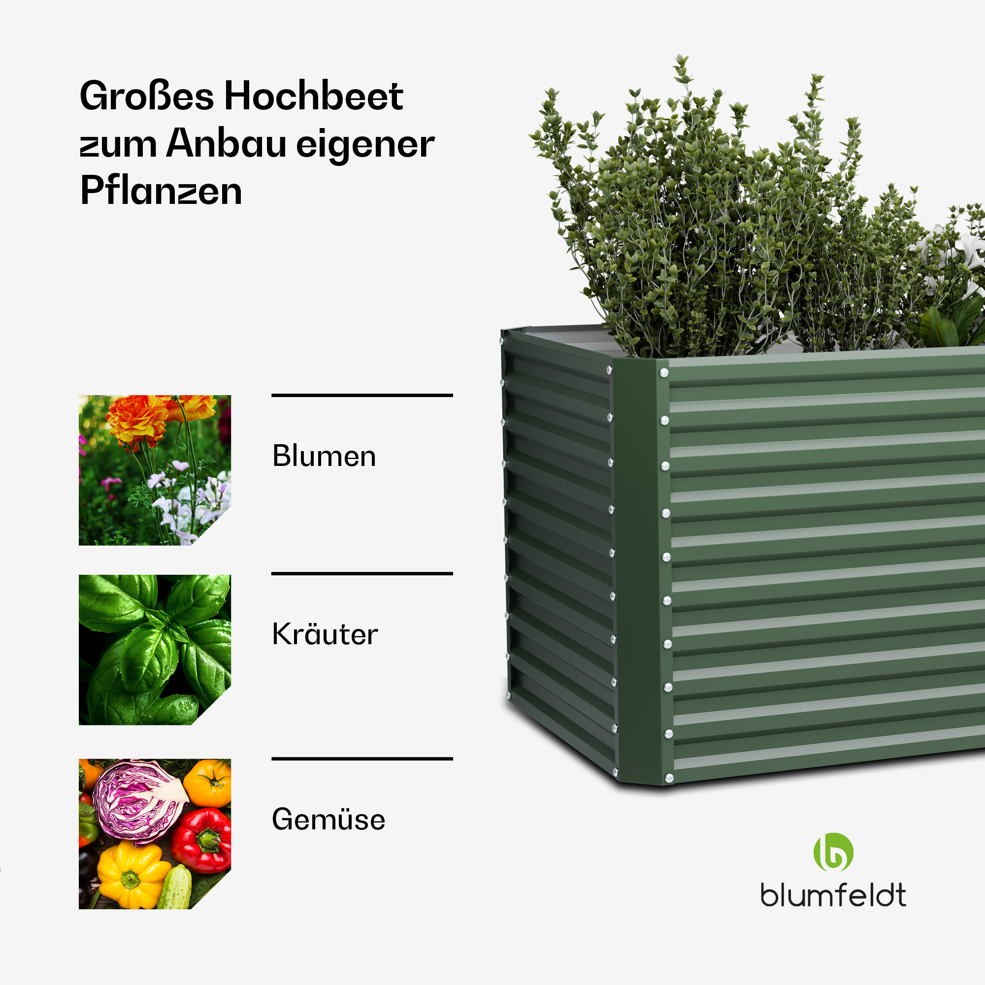 Grünes Hochbeet mit Pflanzen, darunter Blumen, Kräuter und Gemüse, mit Text.