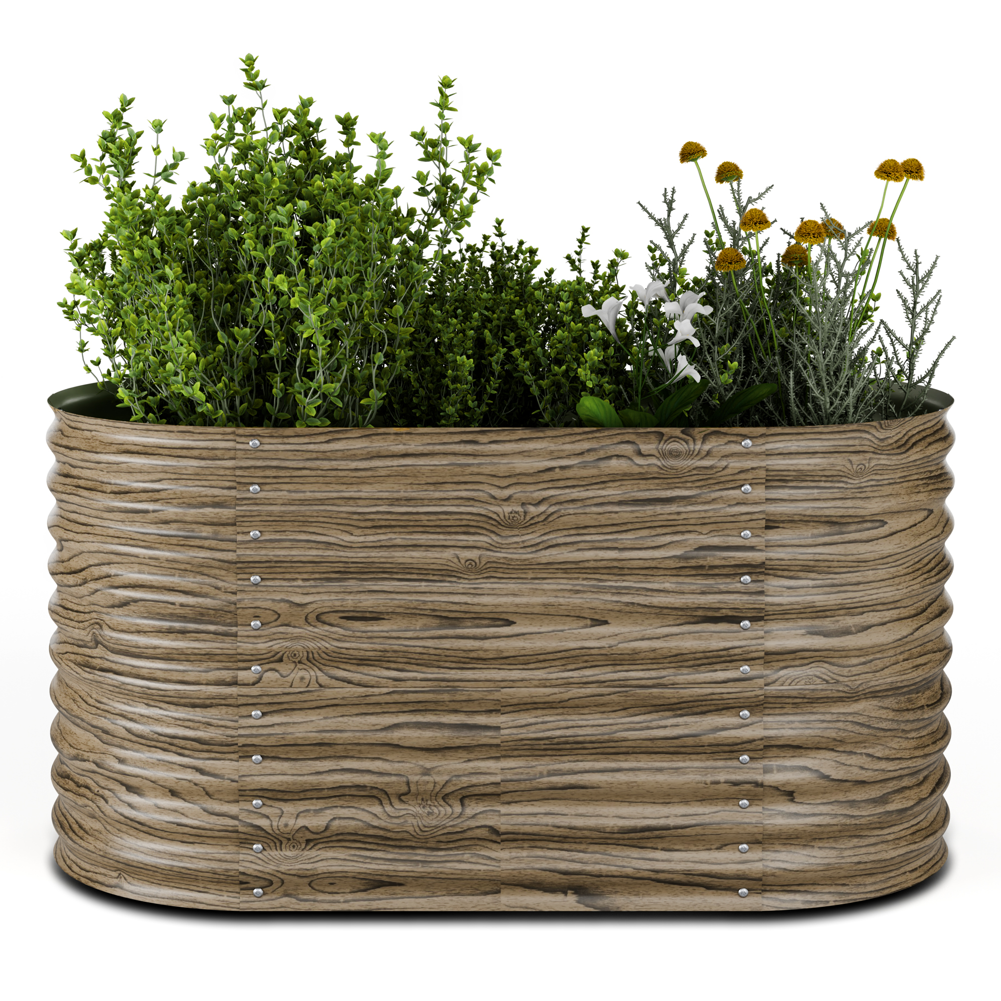 Ein Holzpflanzer gefüllt mit verschiedenen Pflanzen. Grünes Laub und einige Blüten sind sichtbar. Weißer Hintergrund.