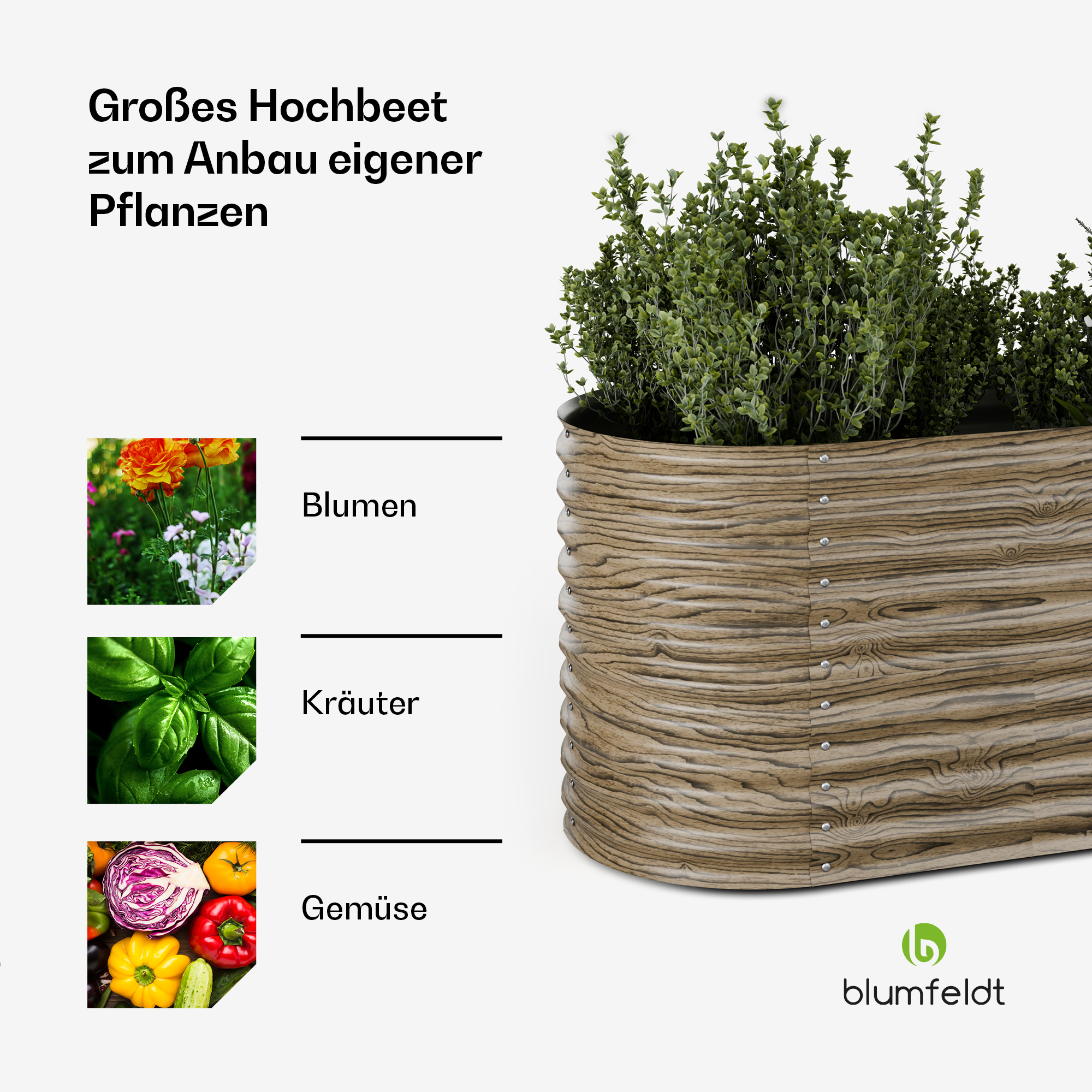 Erhöhtes Hochbeet aus Holz mit drei Pflanzenkategorien: Blumen, Kräuter und Gemüse.