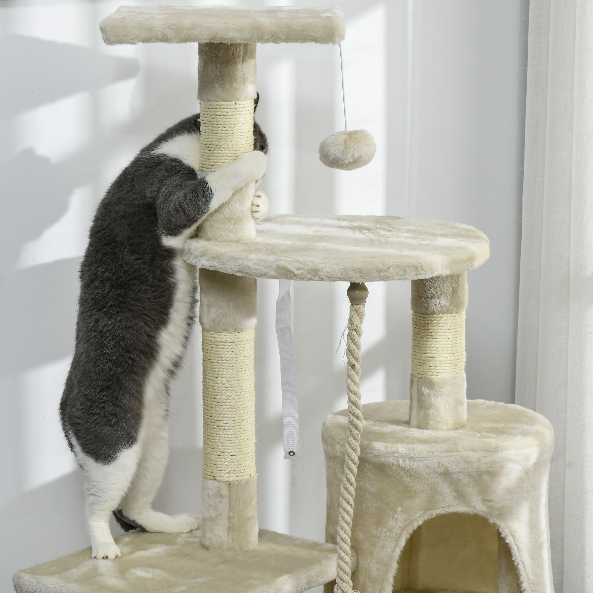 Gatto che si arrampica su un albero per gatti, con le zampe anteriori su una piattaforma.
