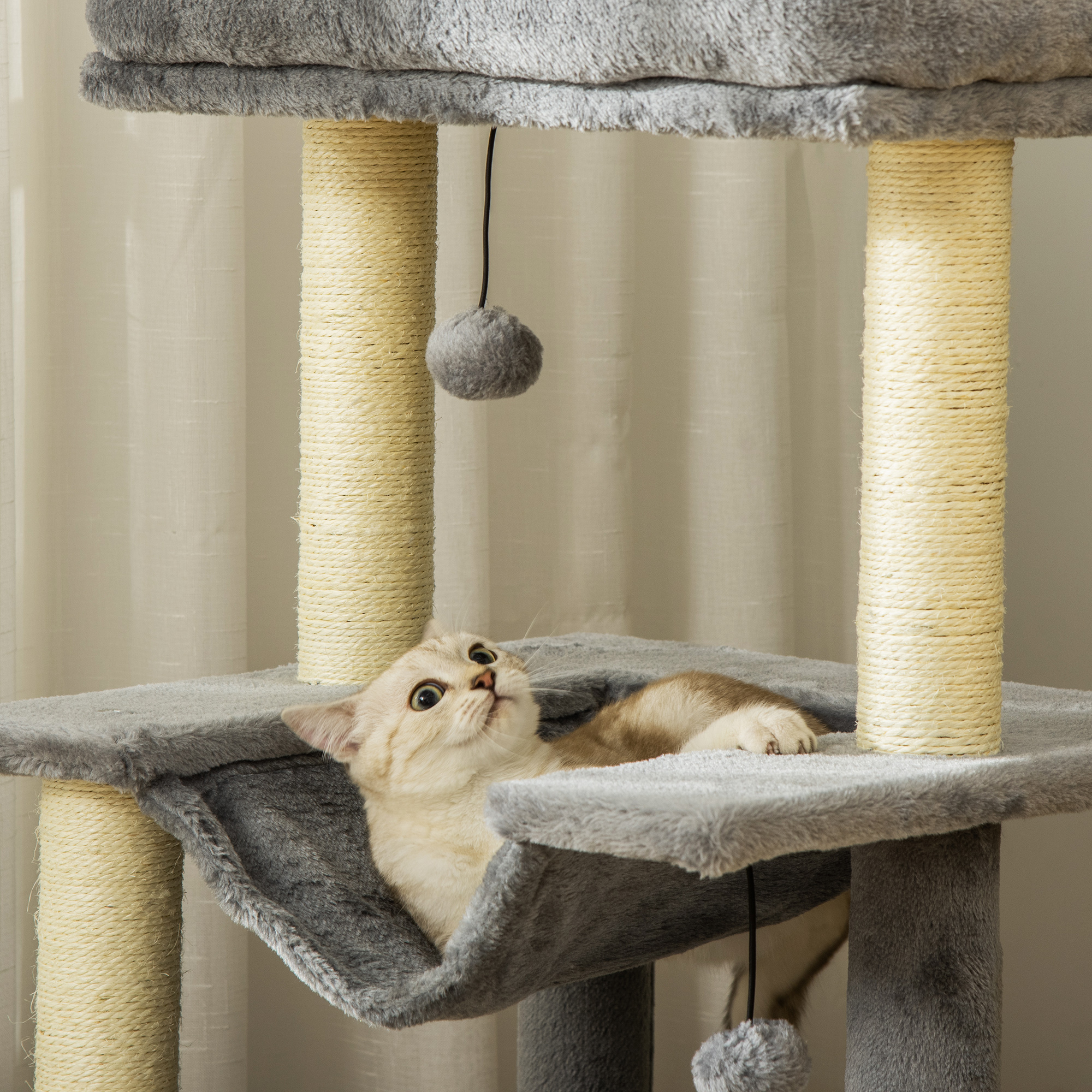 Gatto sdraiato in un'amaca su un albero per gatti grigio. Il gatto guarda in alto. Grigio e beige.