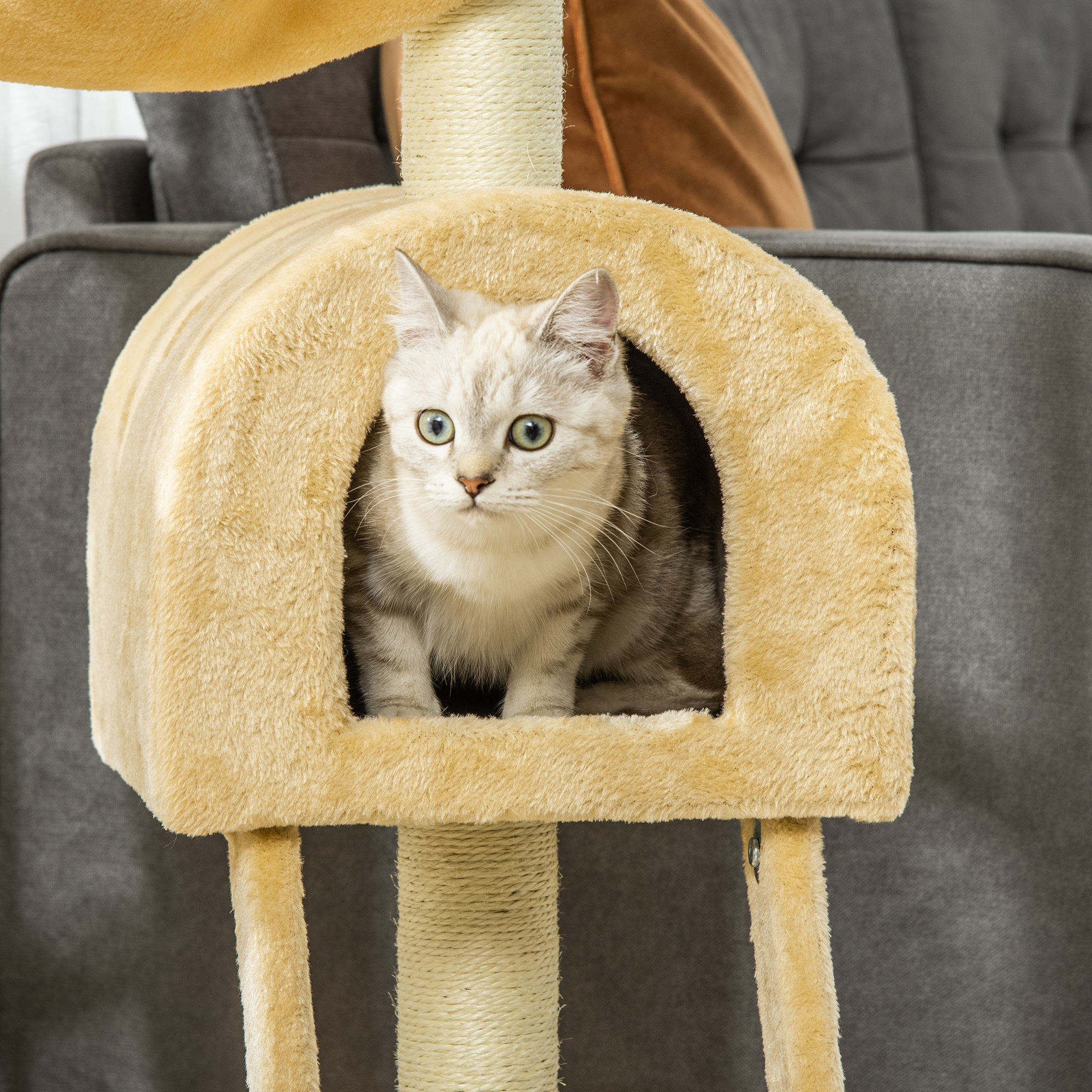 Un gatto siede all'interno di una casetta per gatti beige. Il gatto guarda la fotocamera.